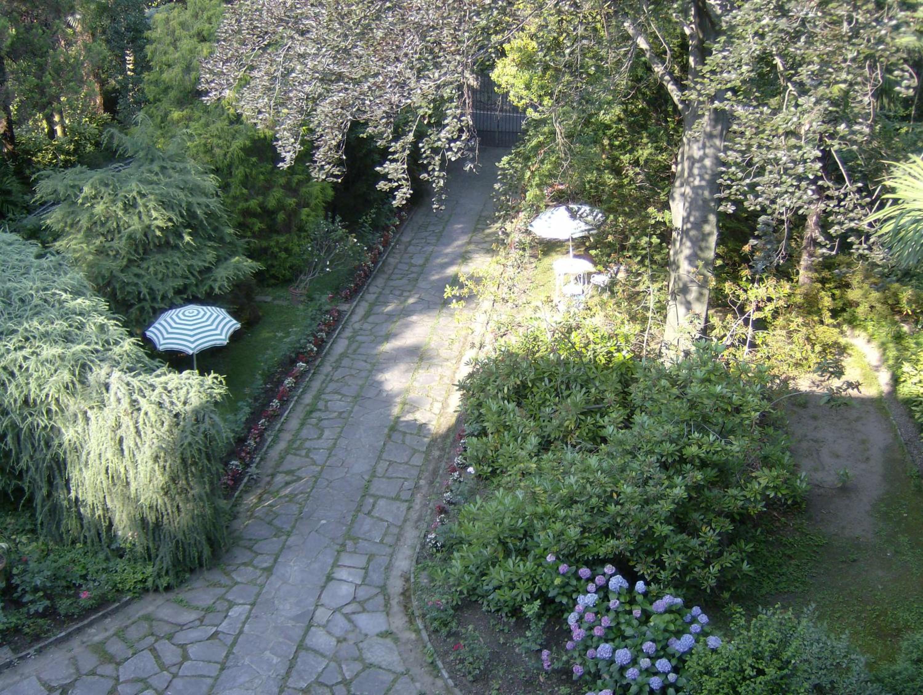 Photo 50