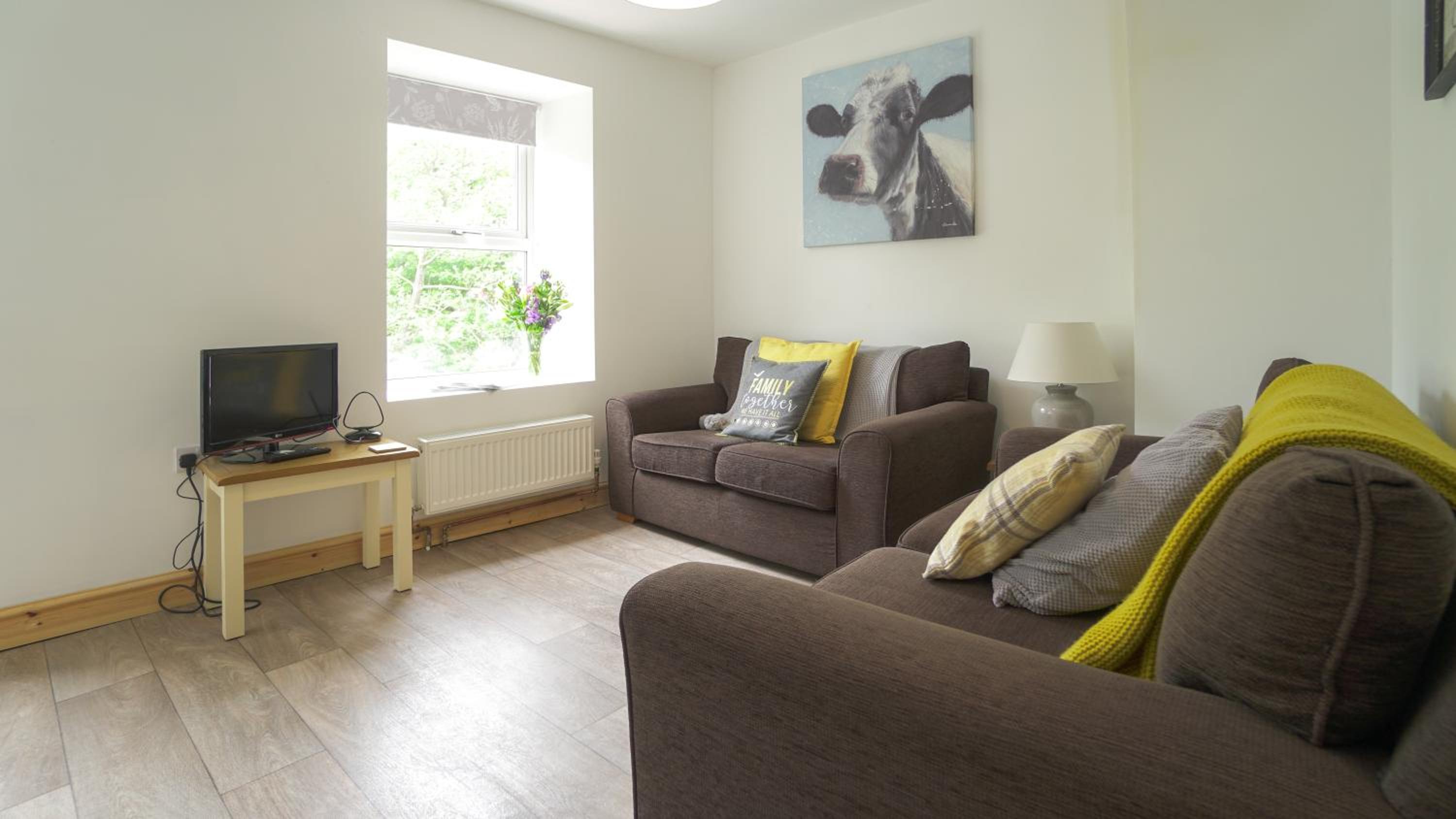 Glanafon Cottage view 4