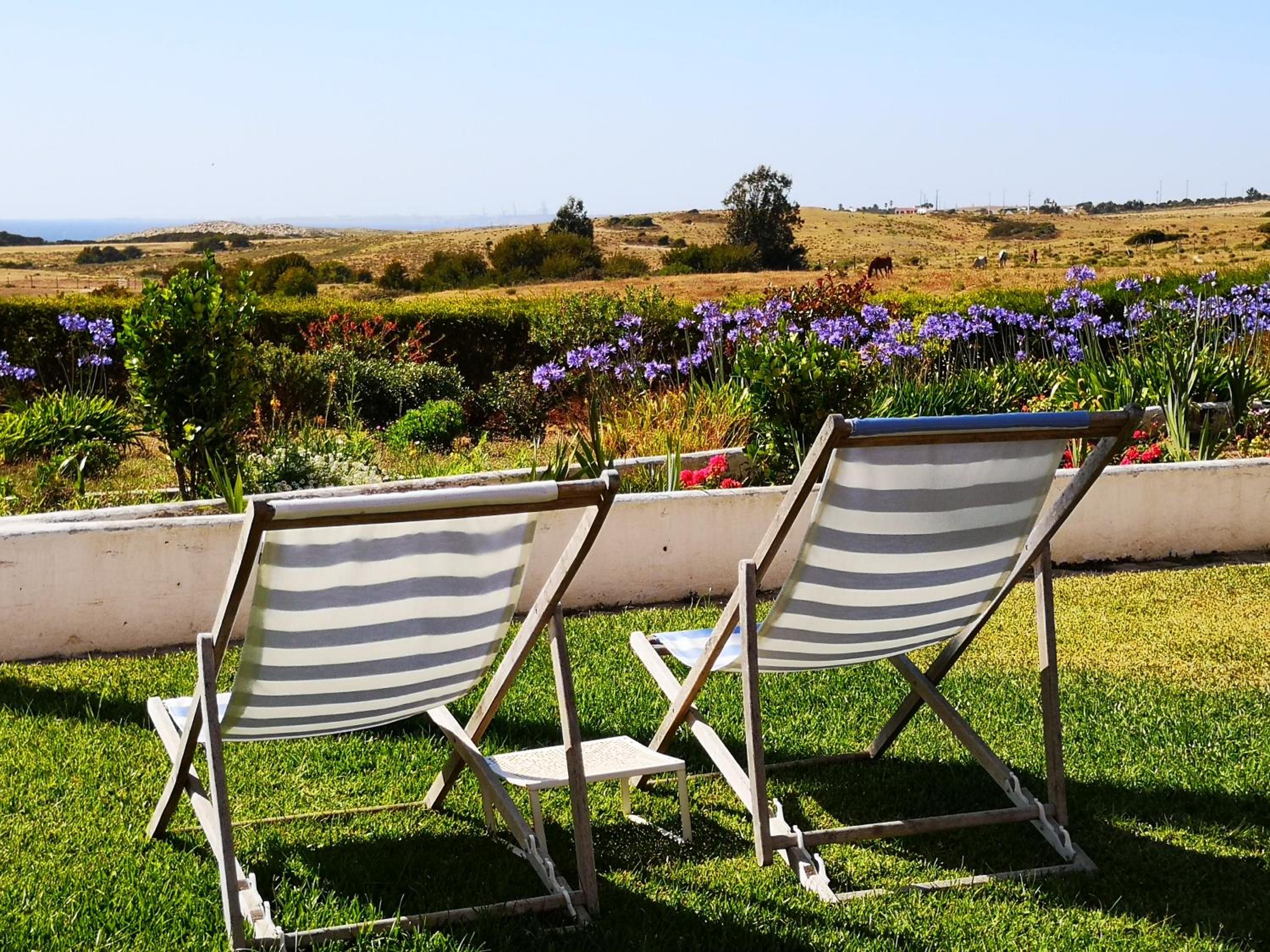 Herdade Do Pessegueiro view 3