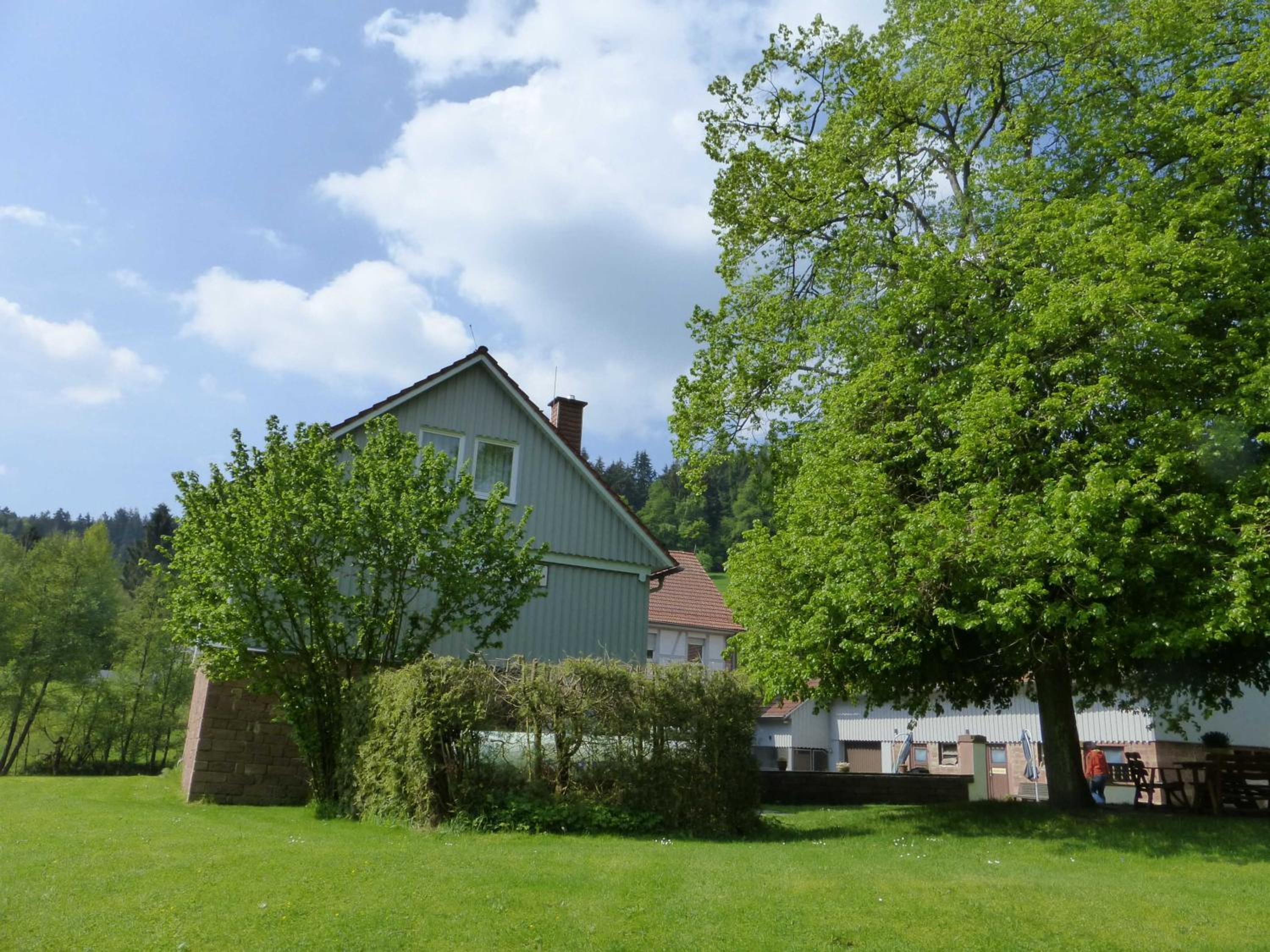 Photo 42