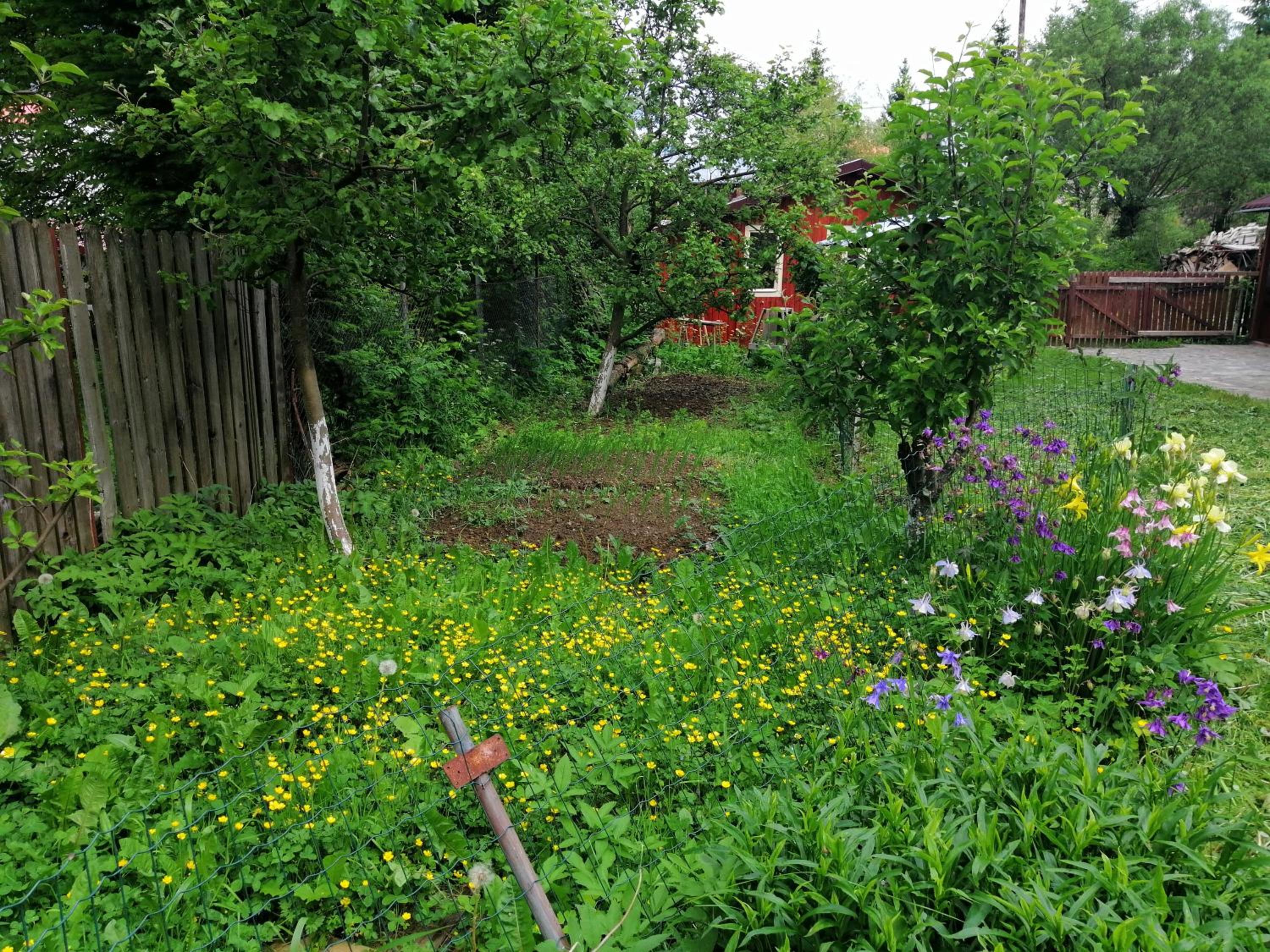 Photo 43