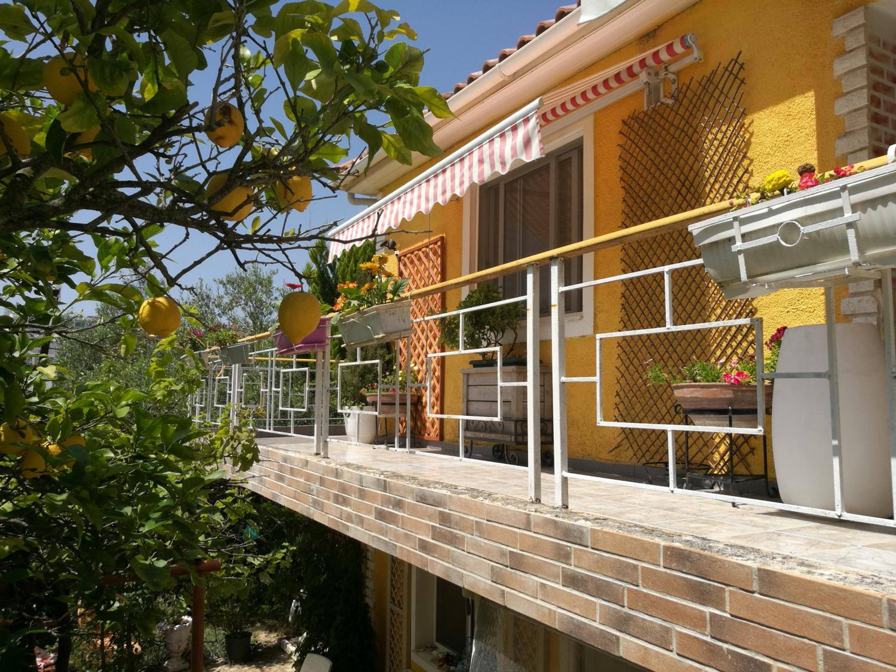Arti Vila