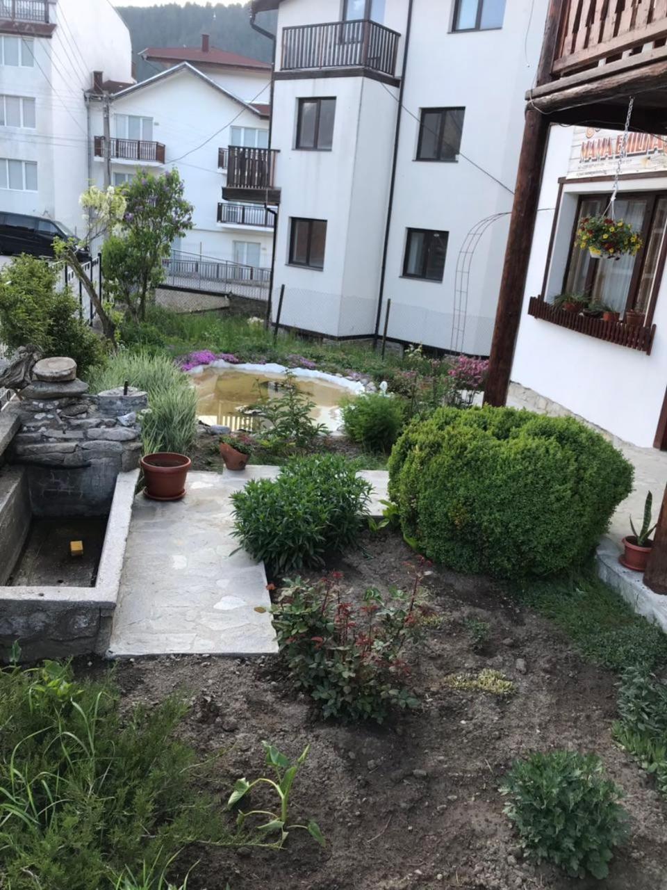Mama Emiliya Guest House