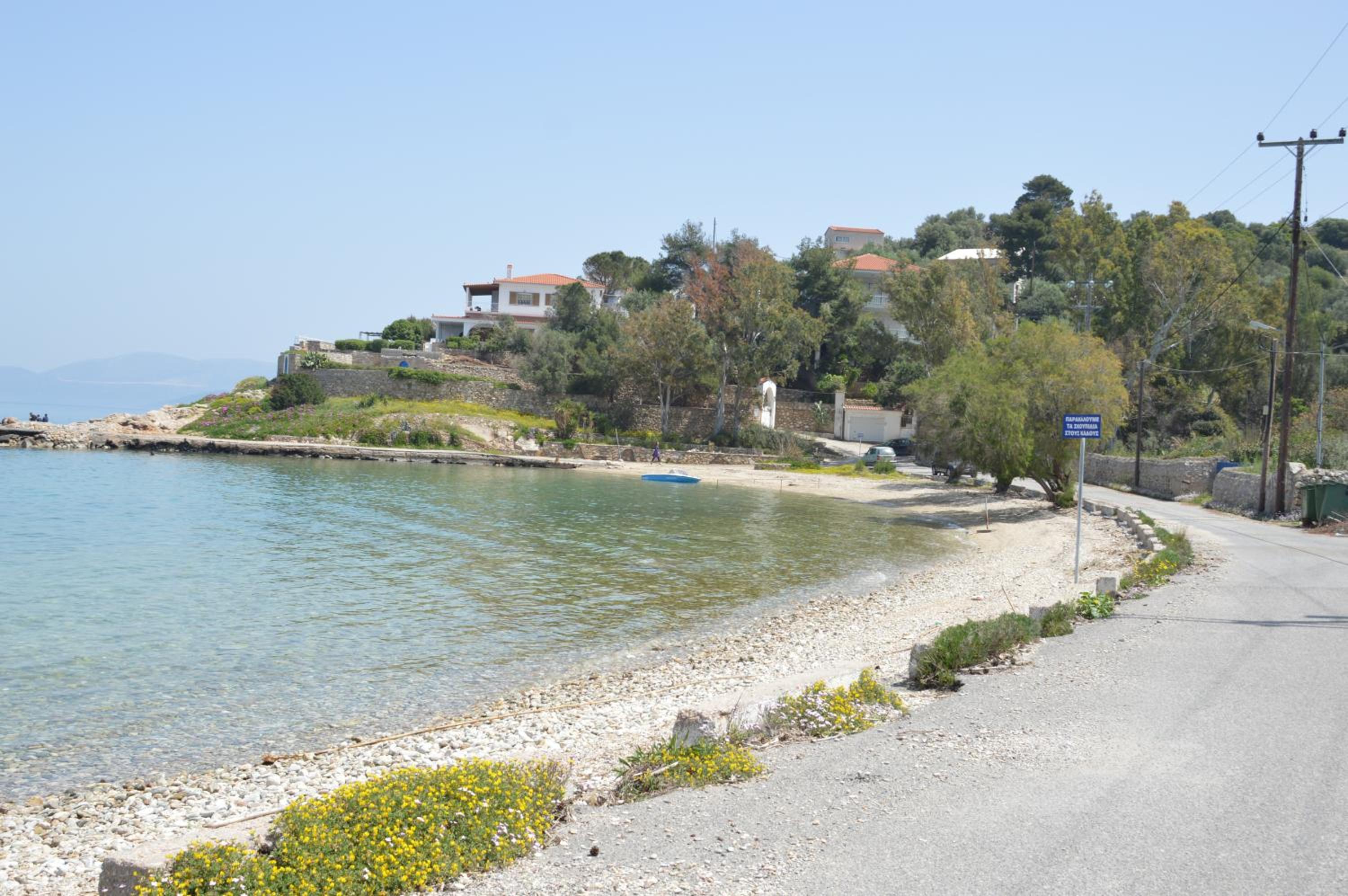 Photo 42