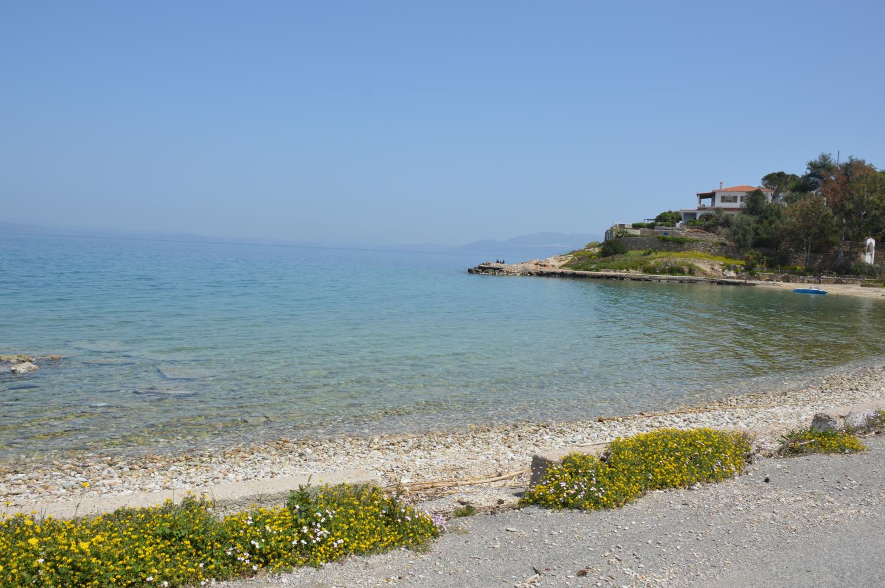 Photo 41