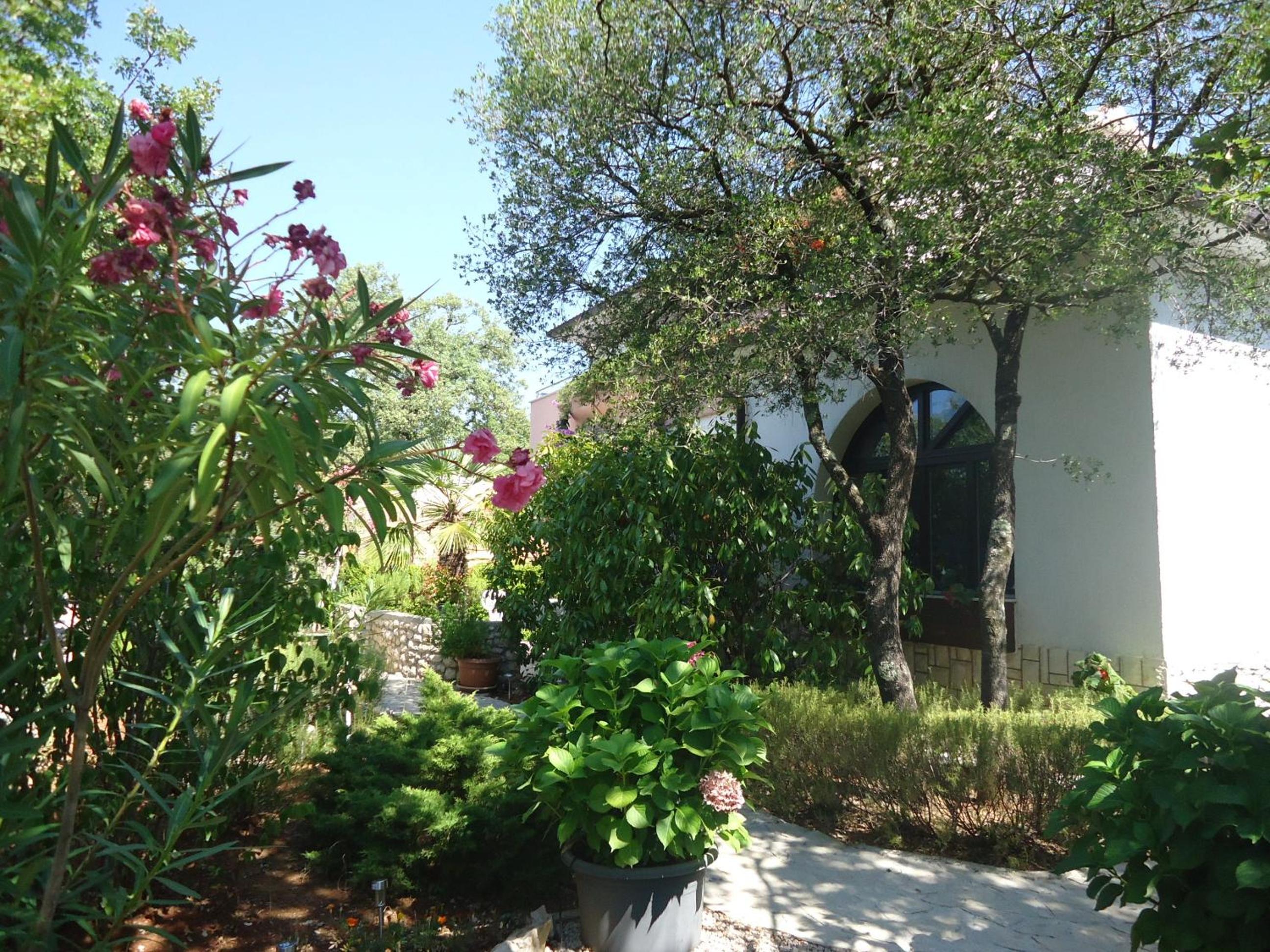 Photo 44