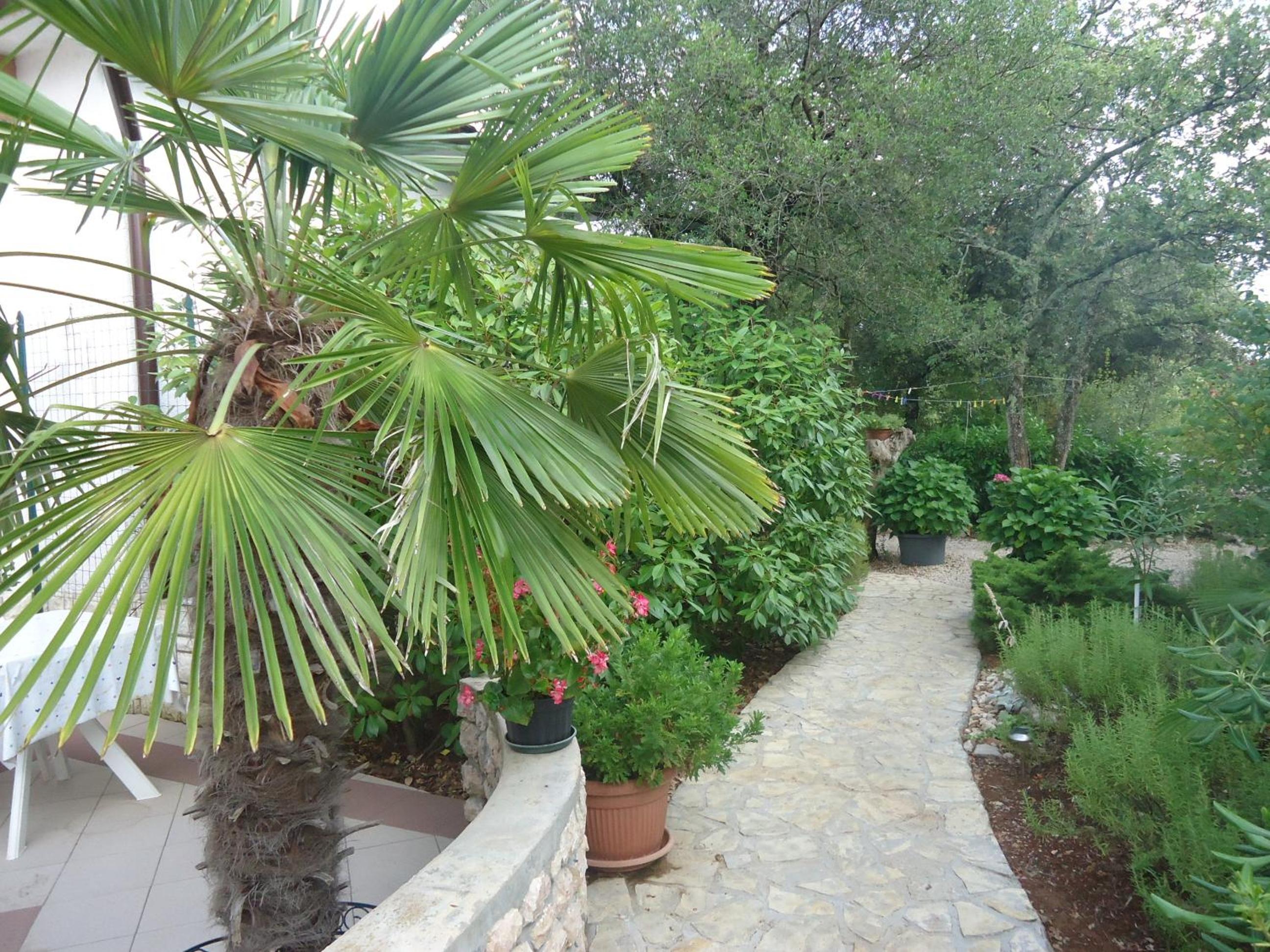 Photo 45