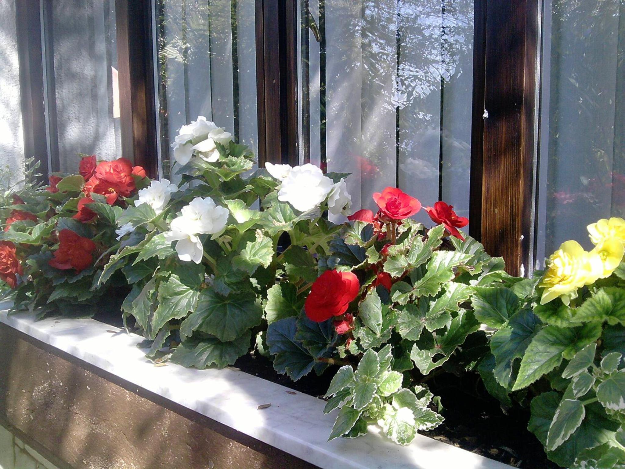 Photo 46
