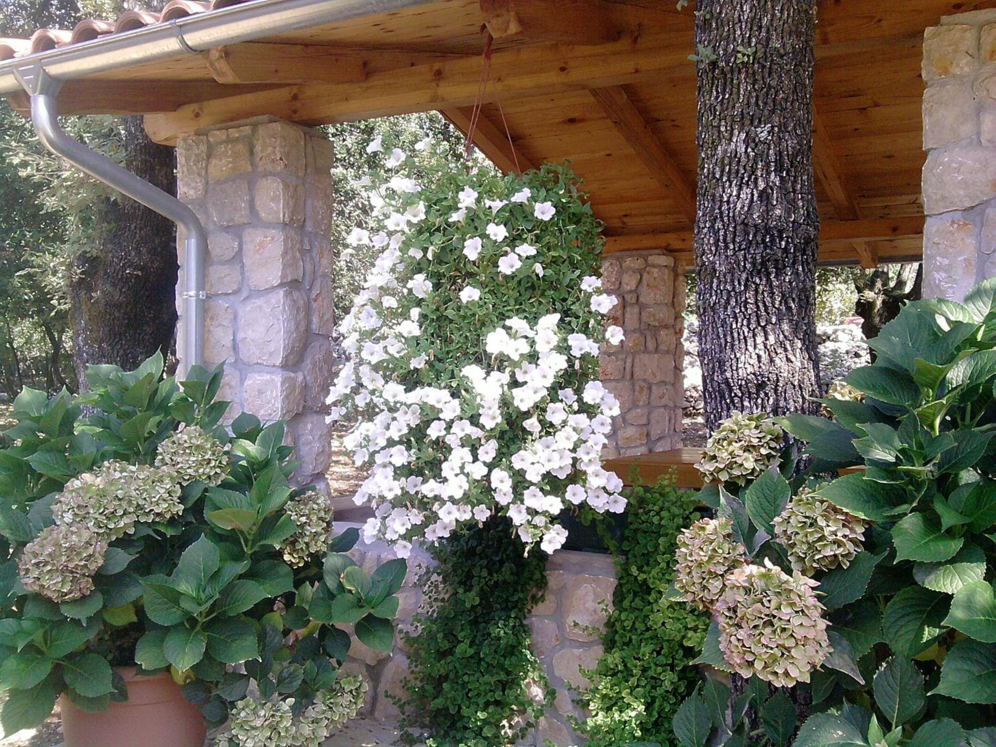 Photo 40