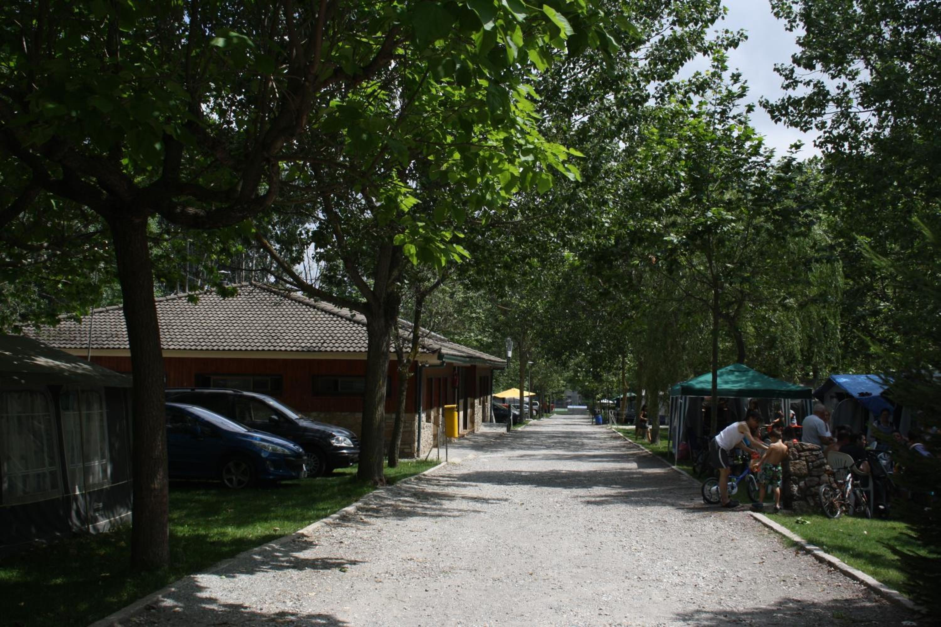 Photo 38