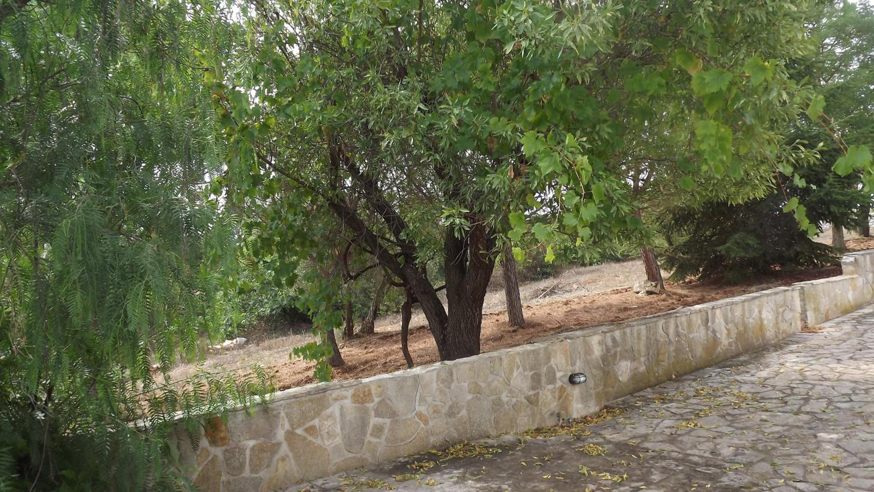Photo 29