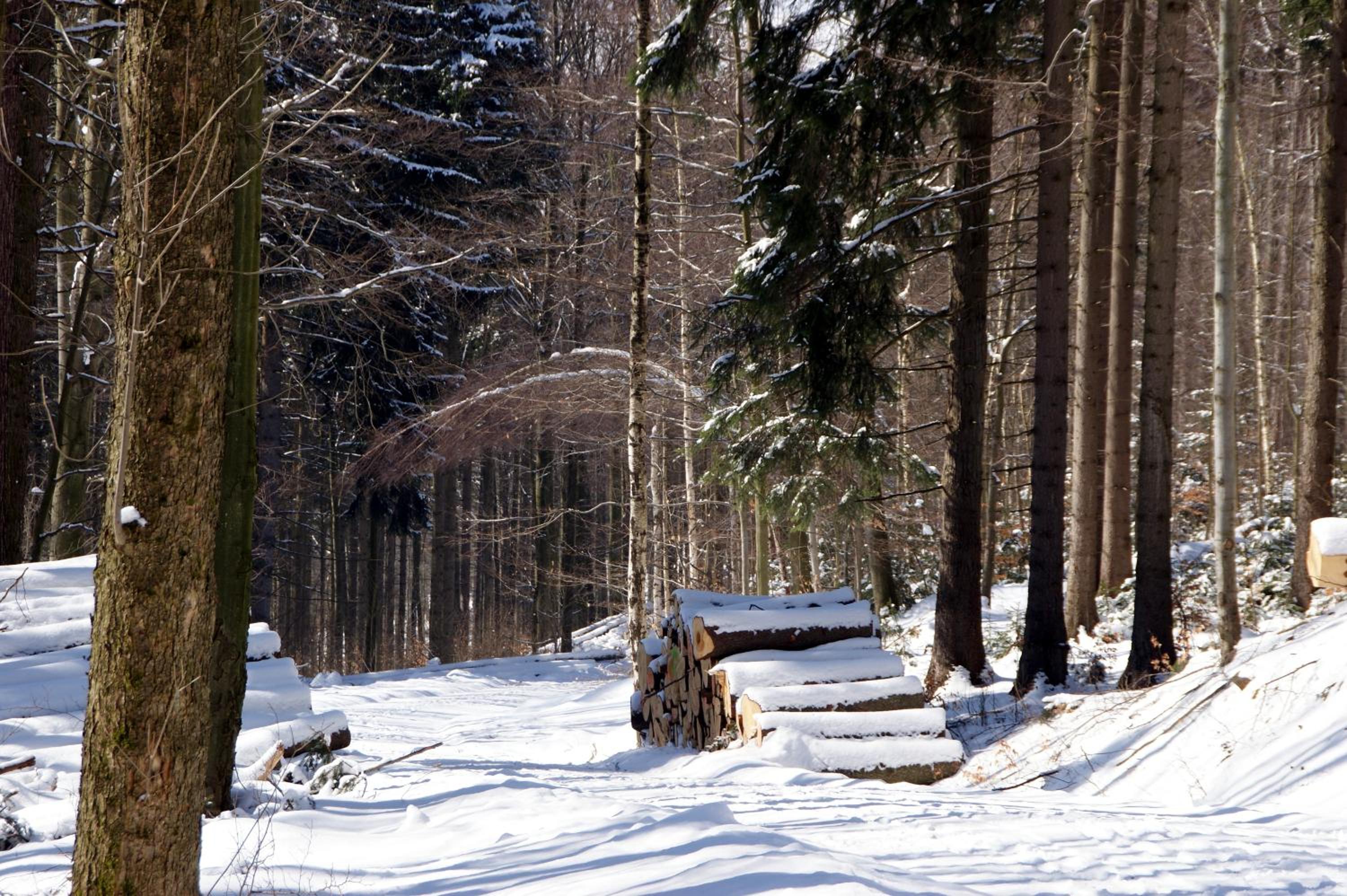 Photo 19