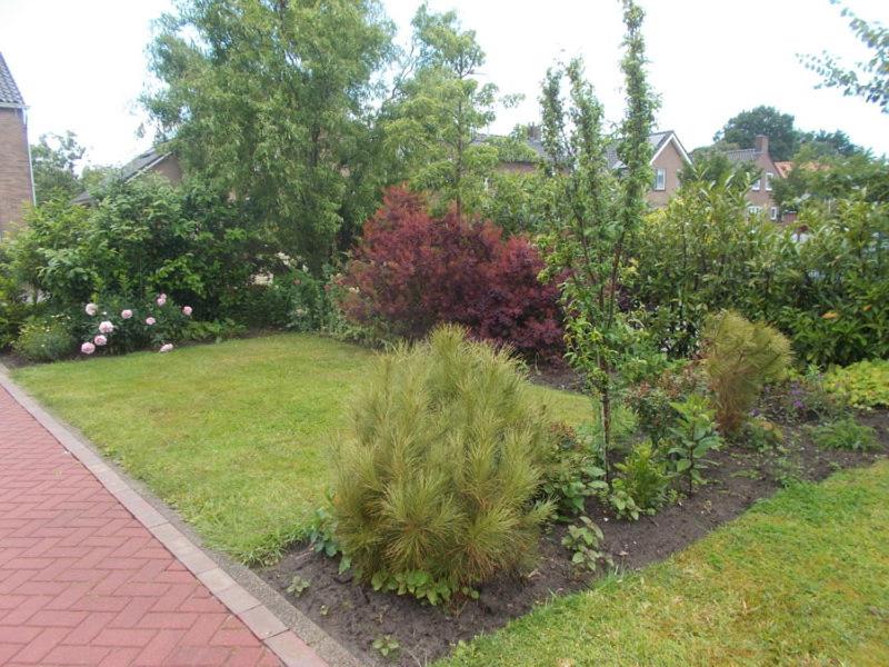 Photo 42