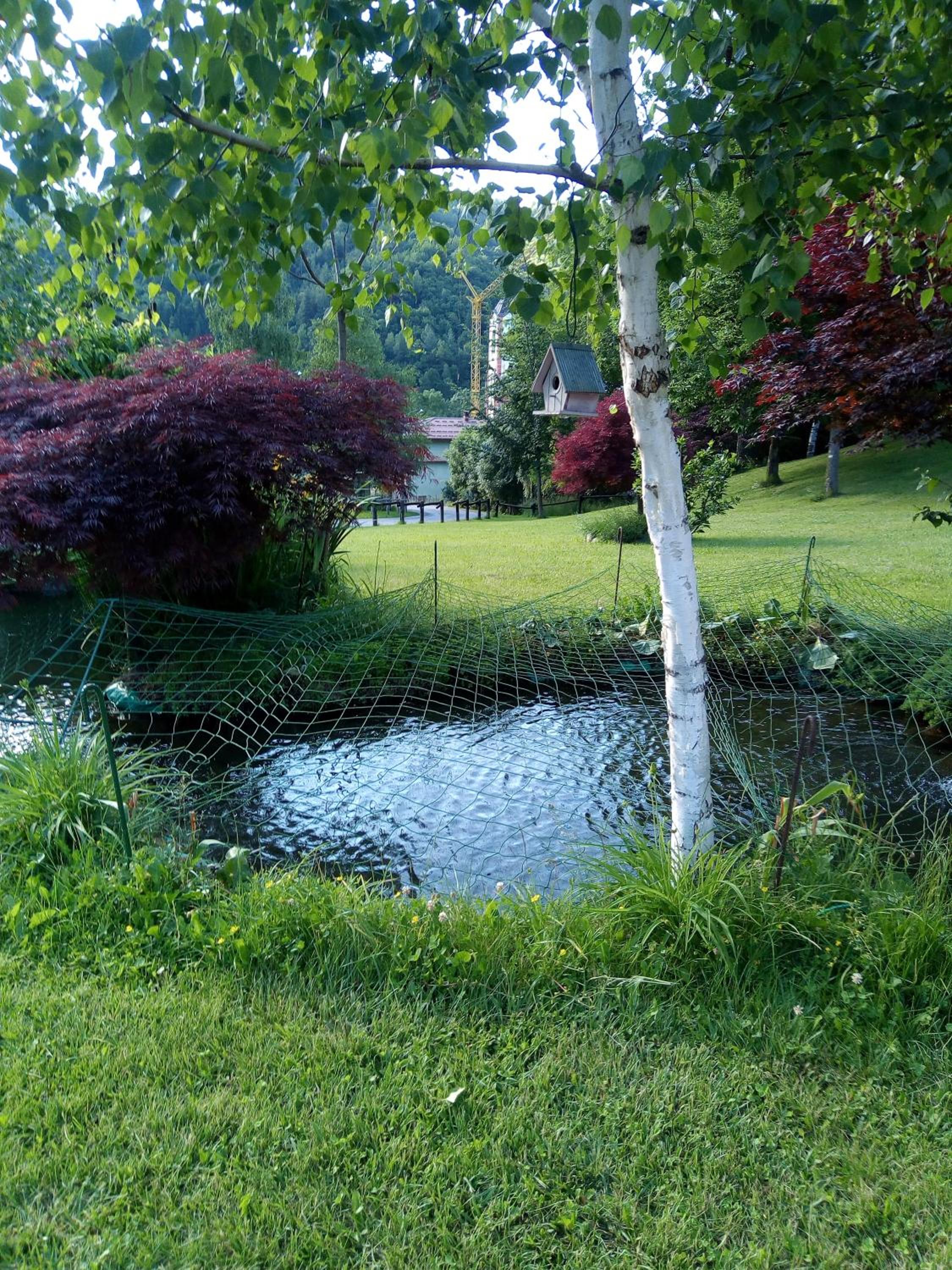 Photo 11