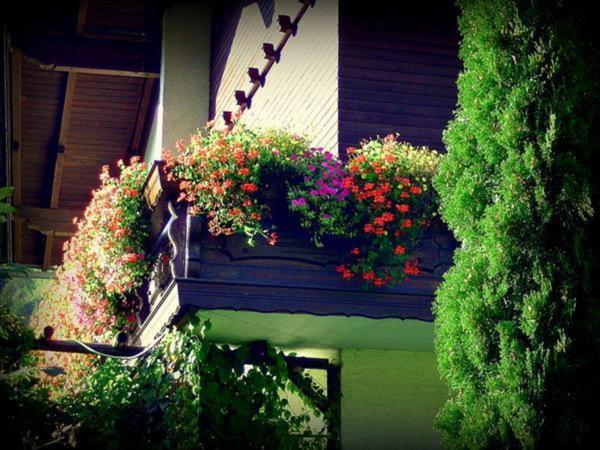 Appartement Ria