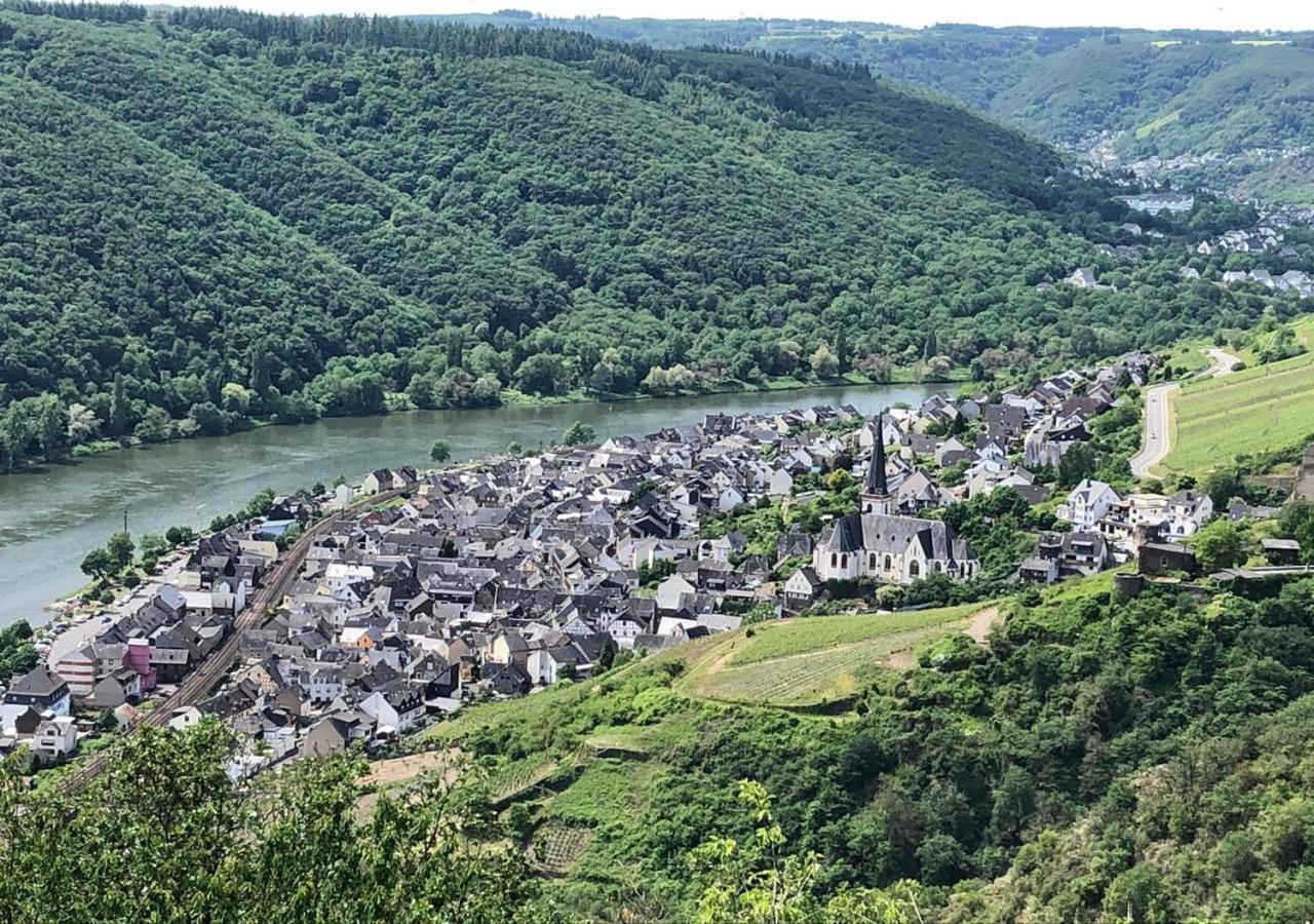 Appartements Moselblick view 3