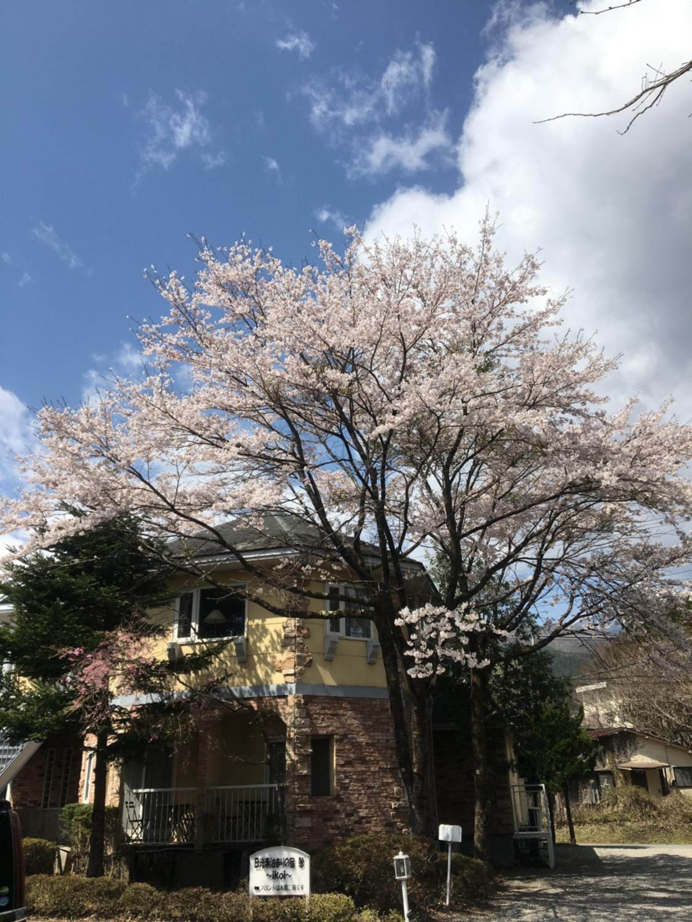 Ikoi