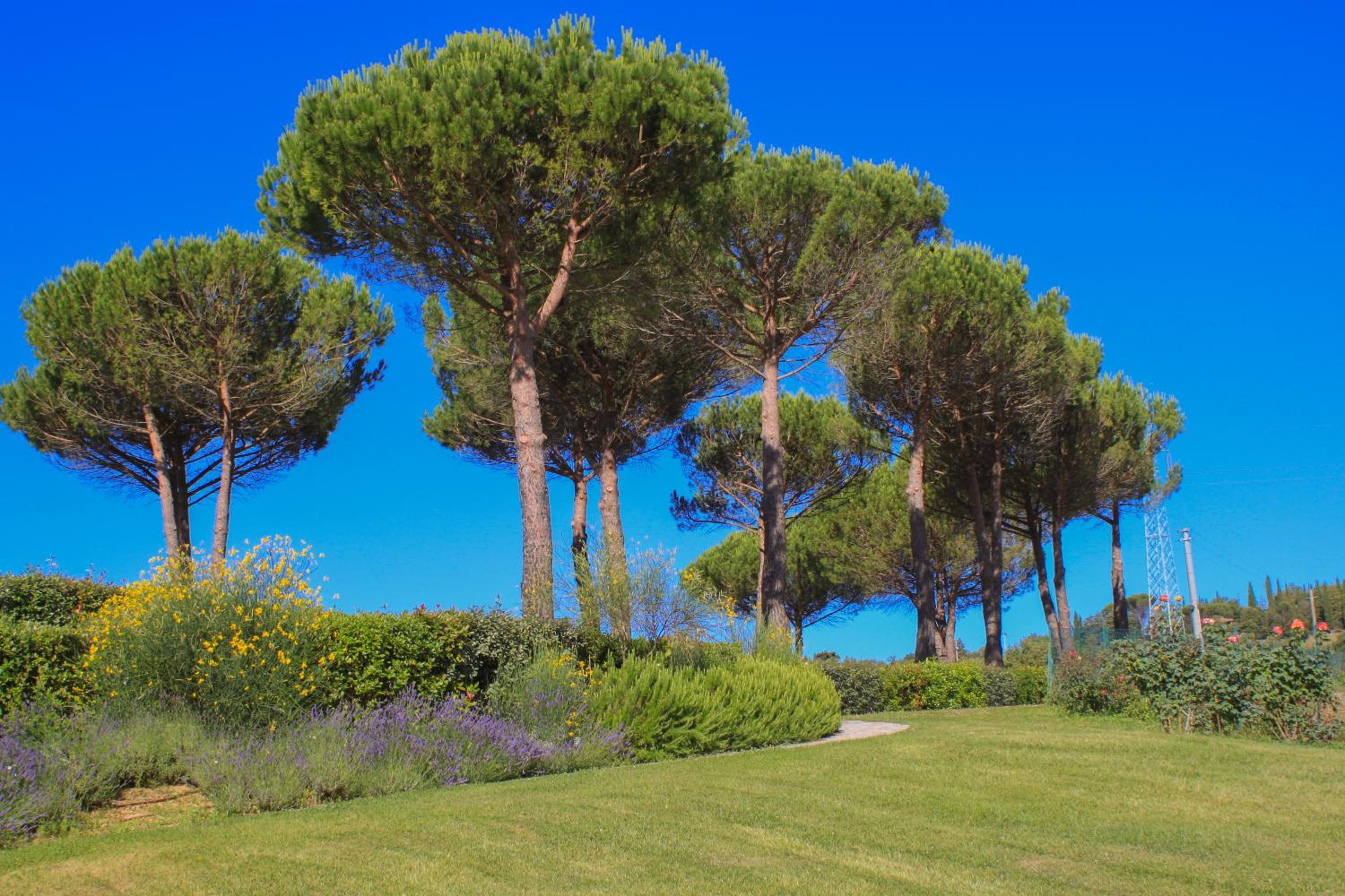 Cavarchino B&B
