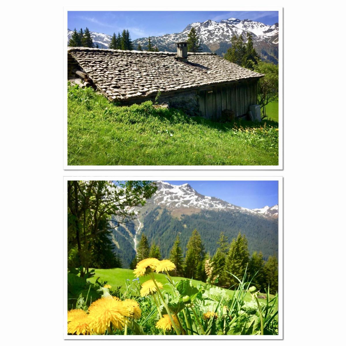 Ferienwohnung Bitschnau
