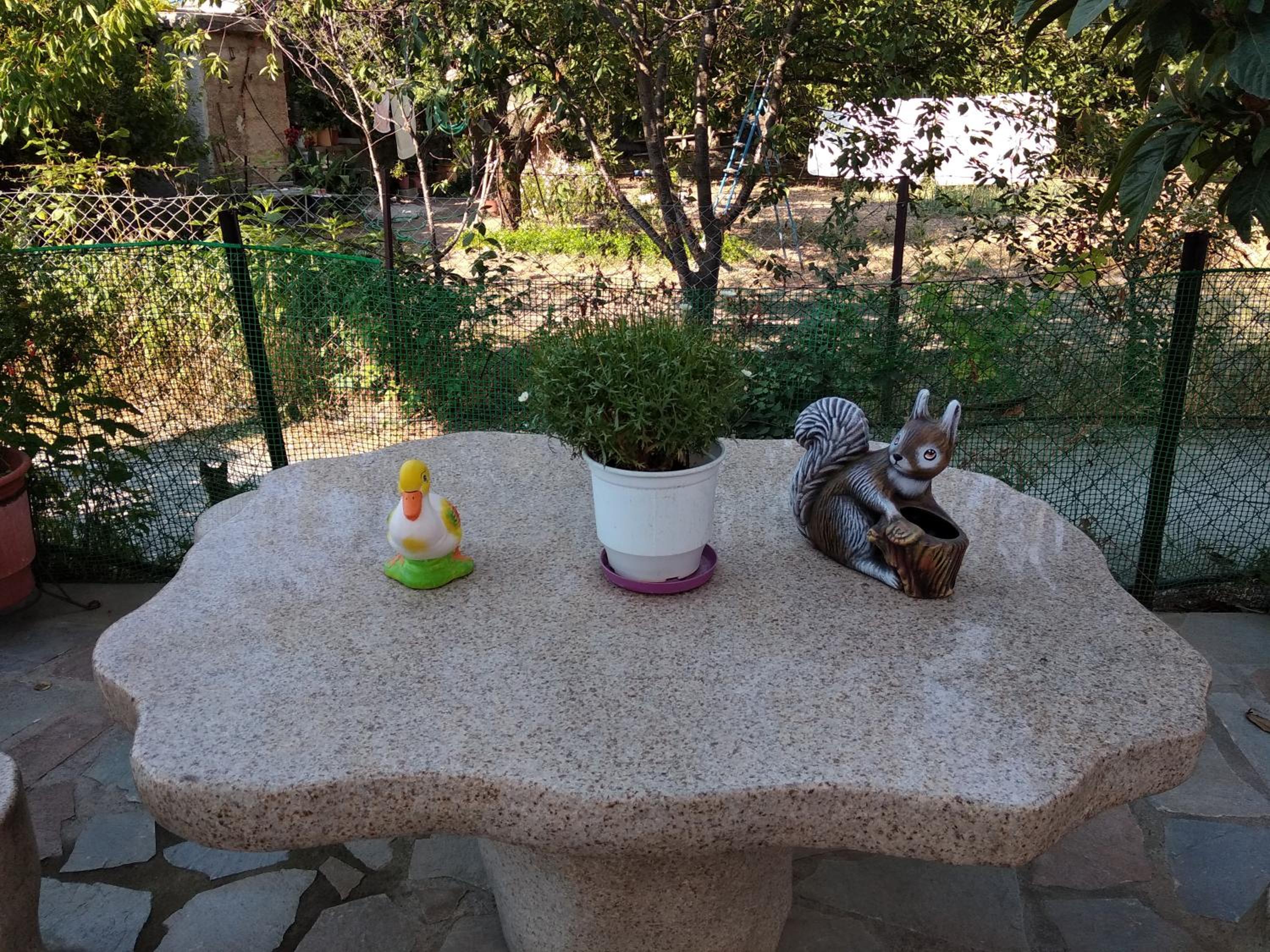 Photo 7