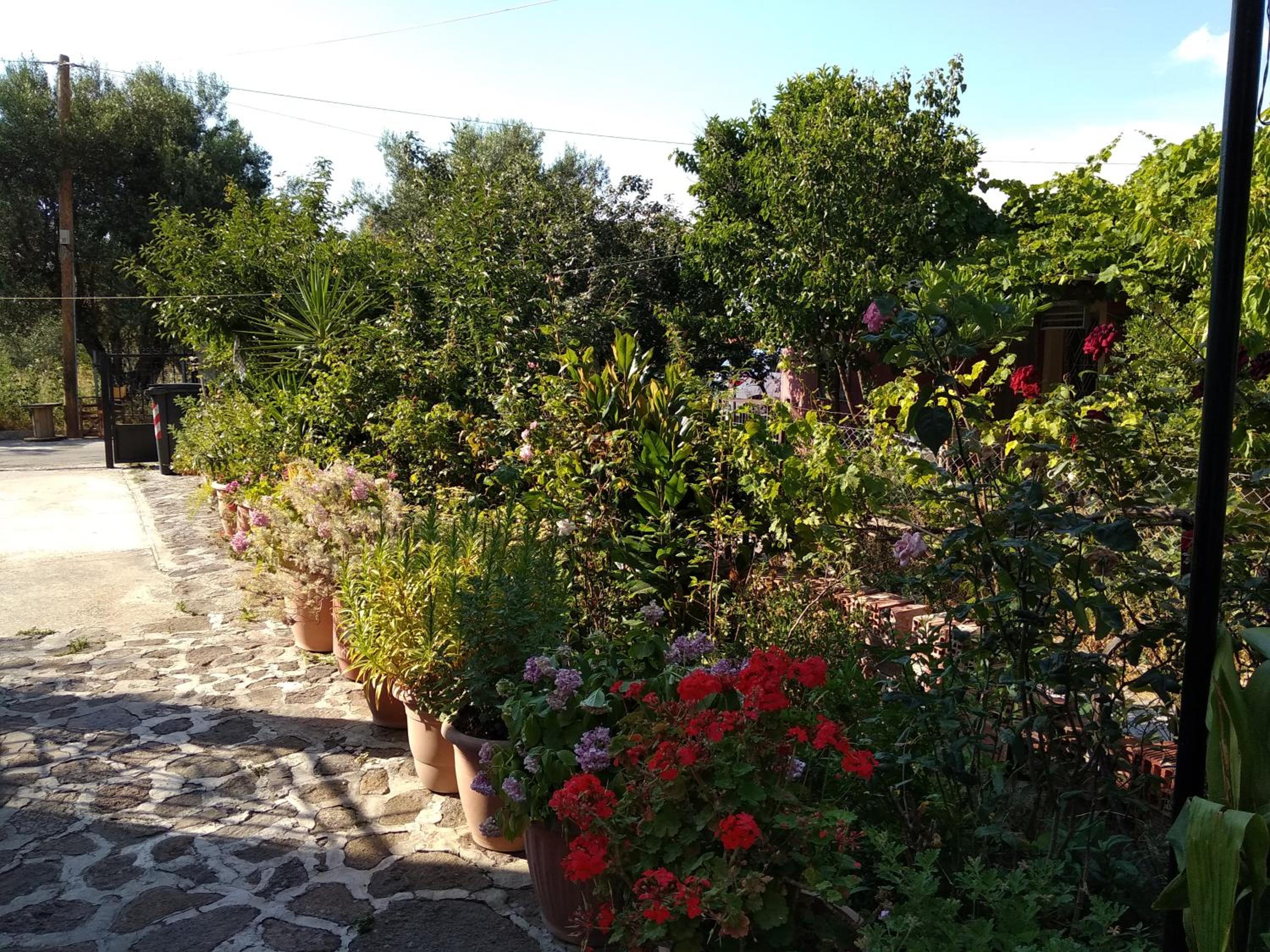 Summer Dream view 5