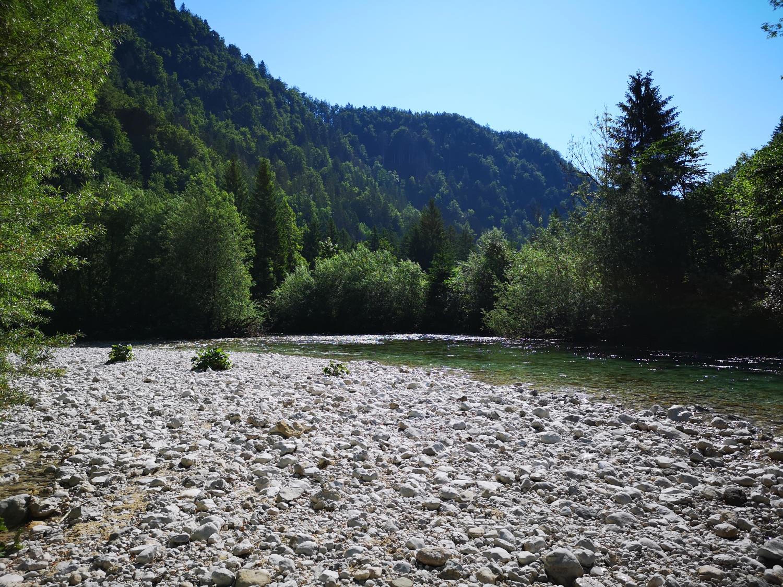 Photo 41