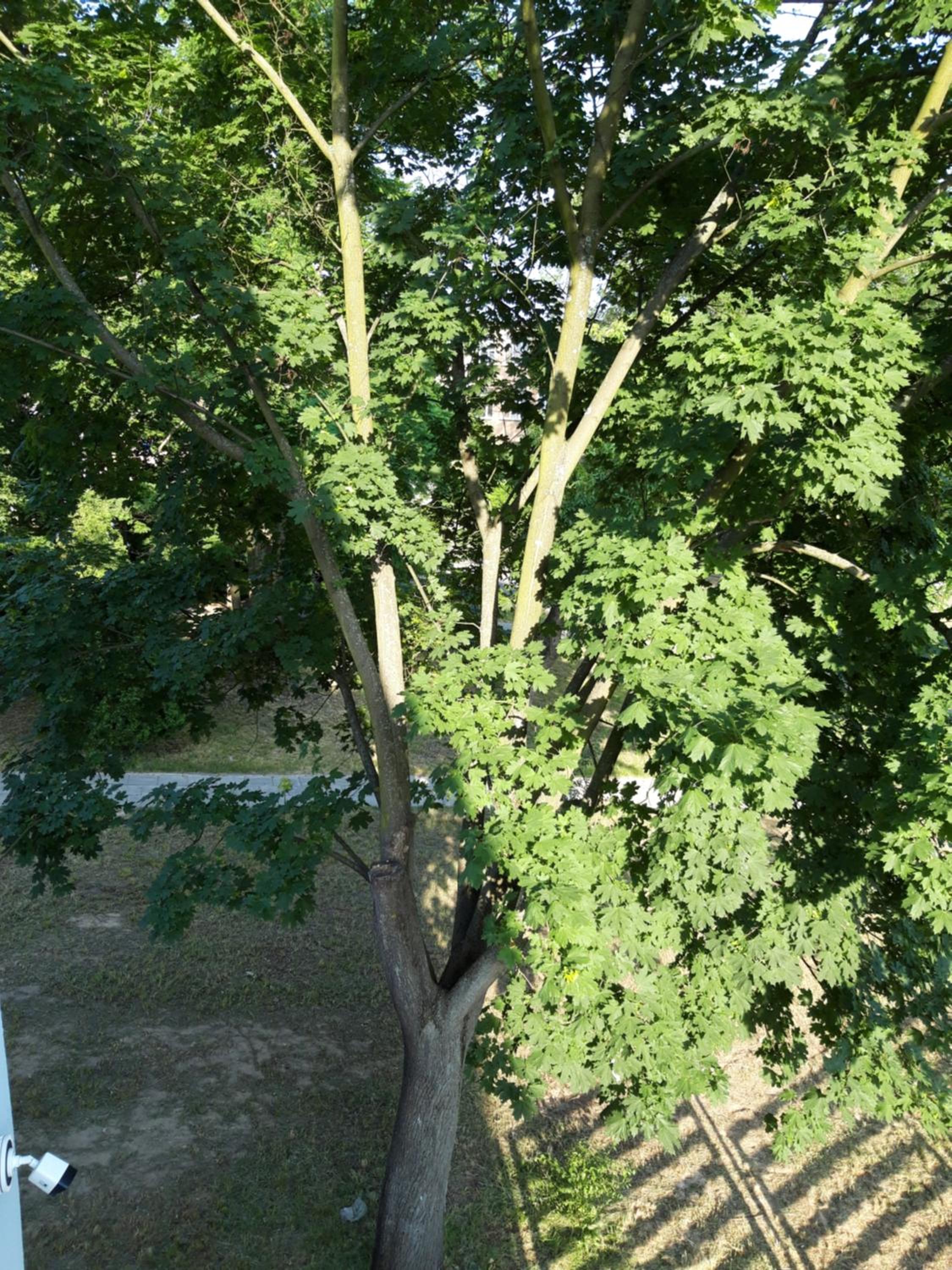 children's play area