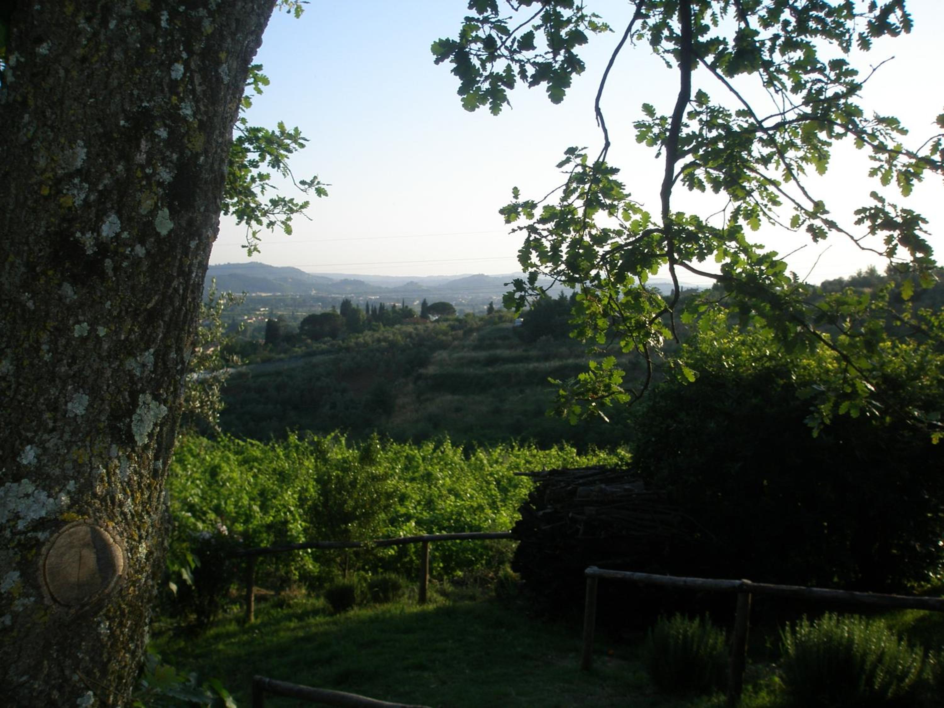 Agriturismo Biologico Poggiopiano