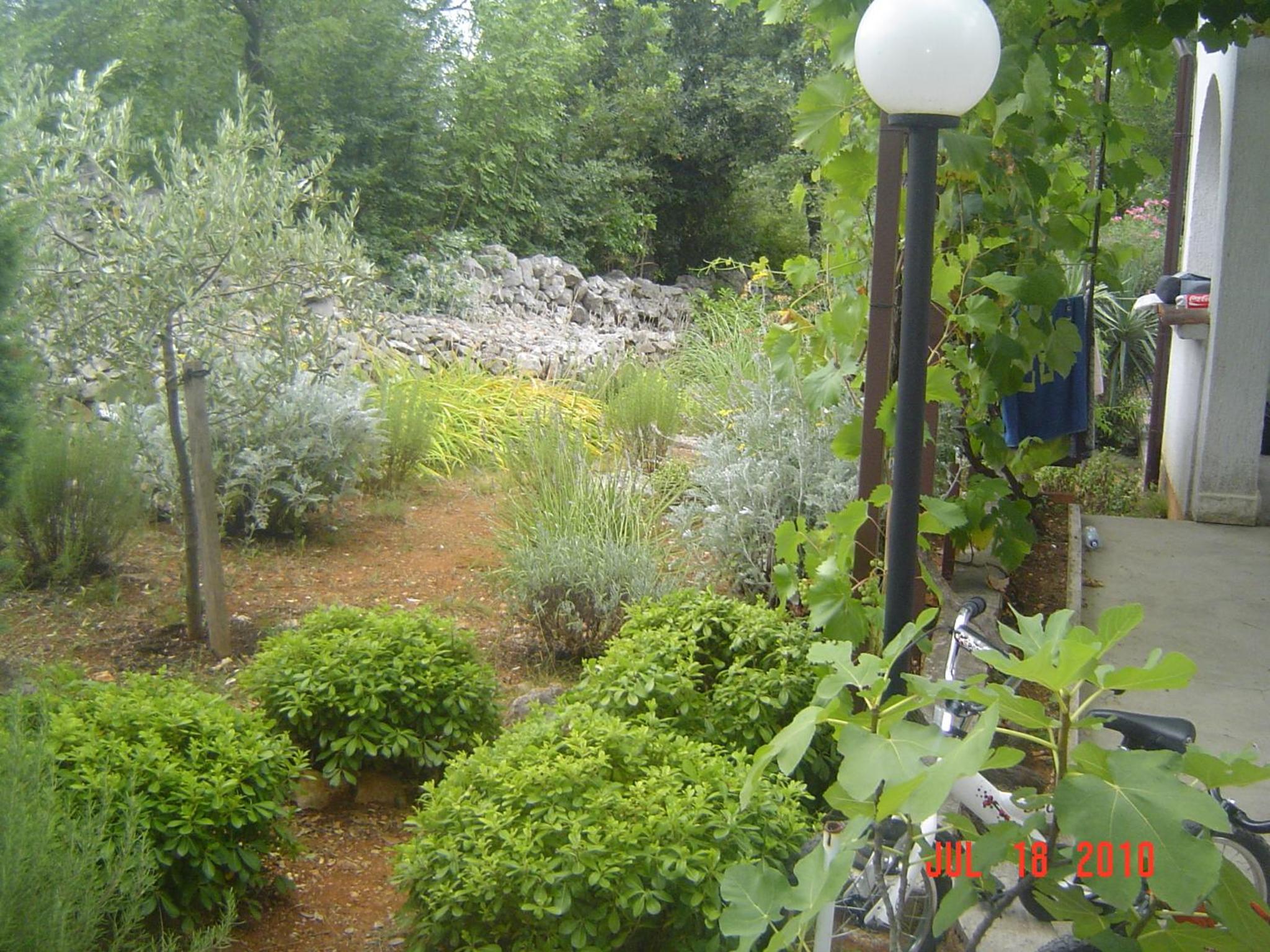 Photo 52