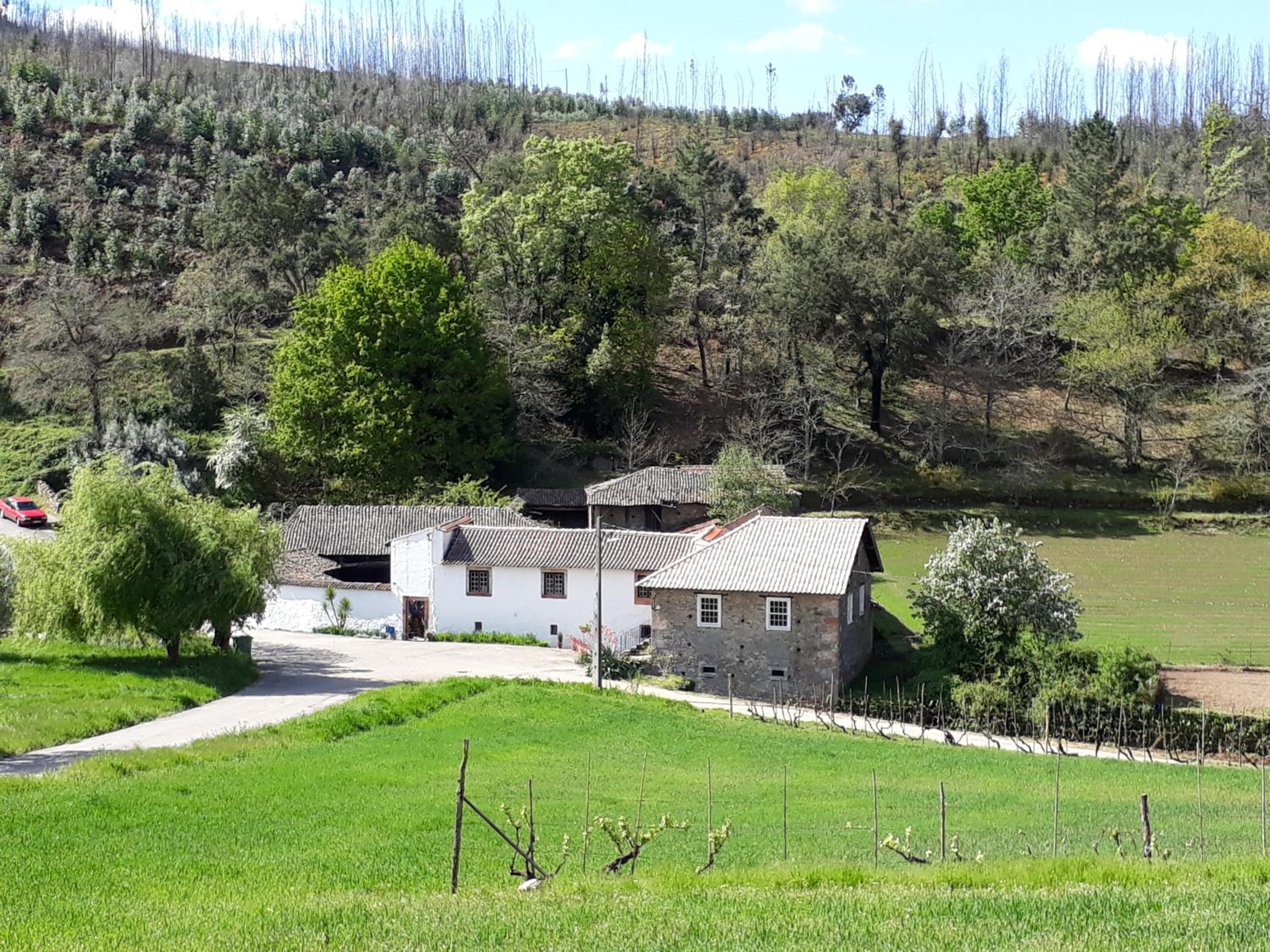 A Charming , Traditional Cottage at Quinta da Ribeira view 3