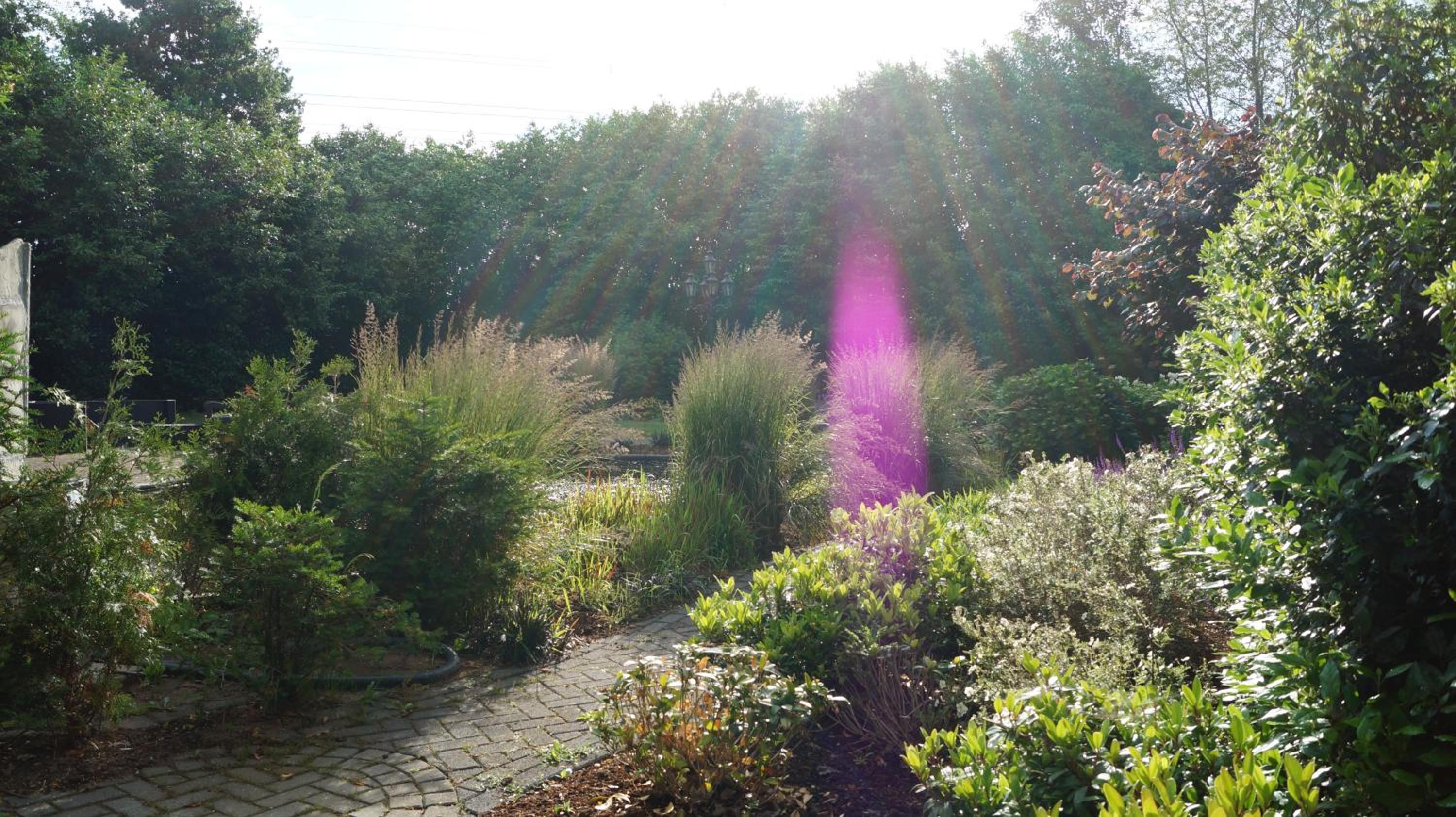 B&B Johannes-Hoeve