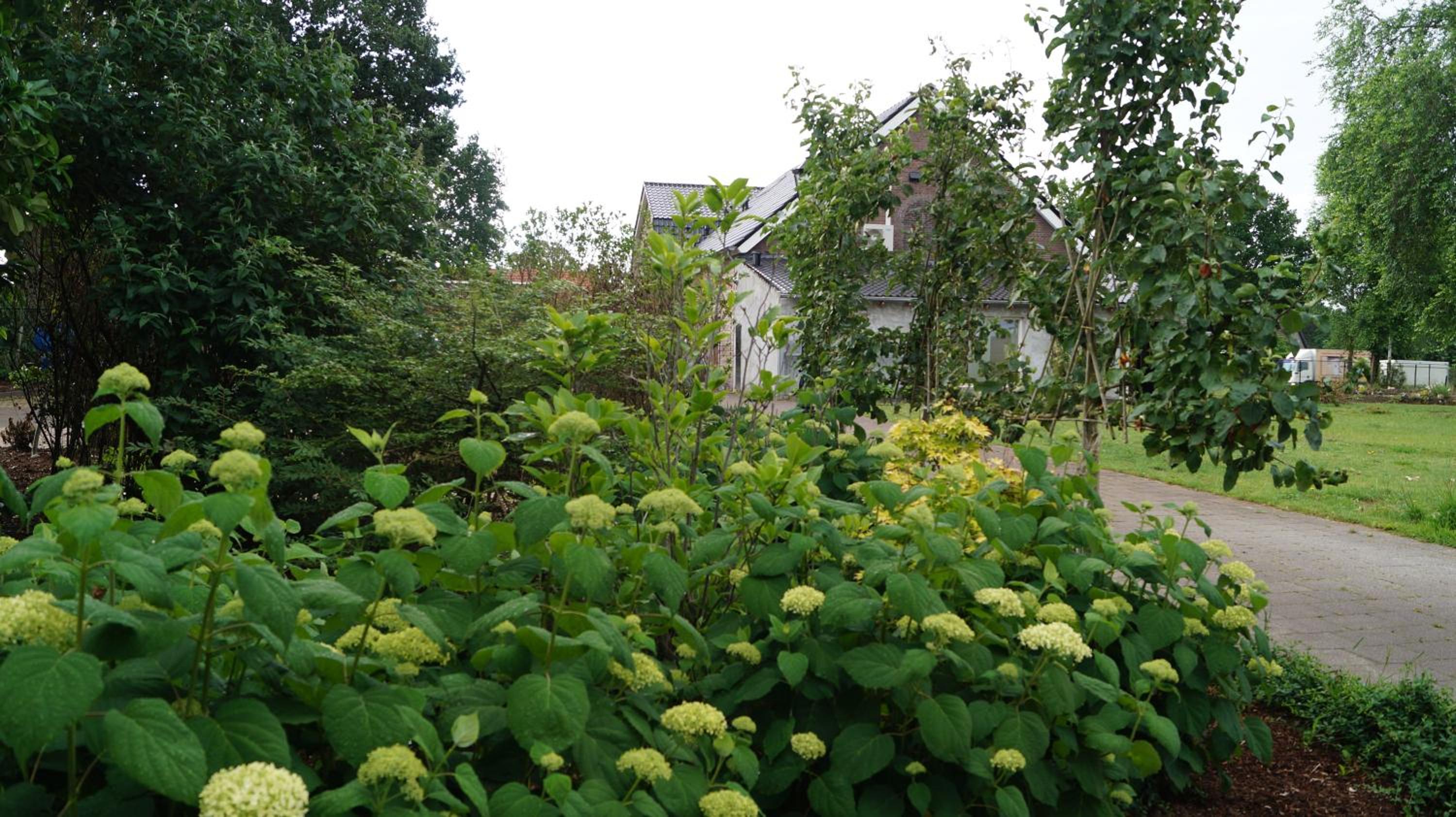 B&B Johannes-Hoeve
