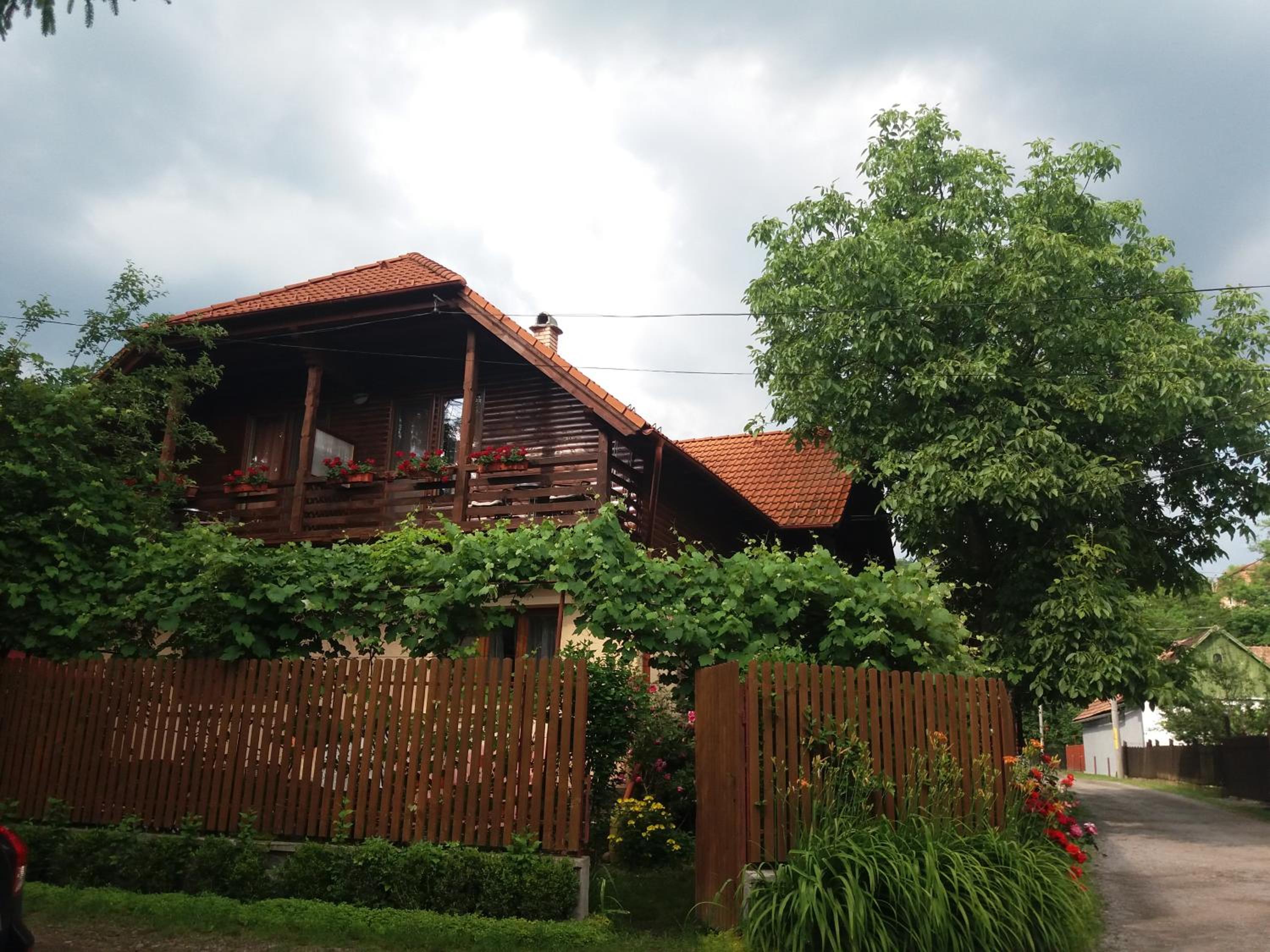 Photo 18