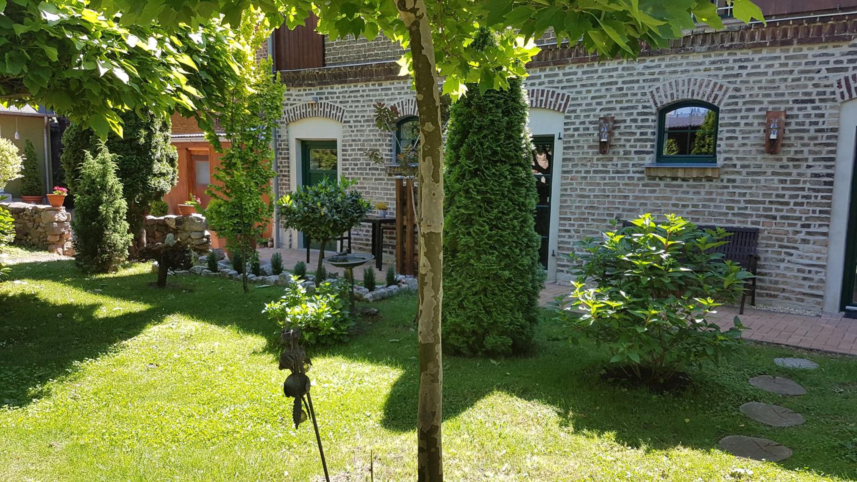 Photo 21