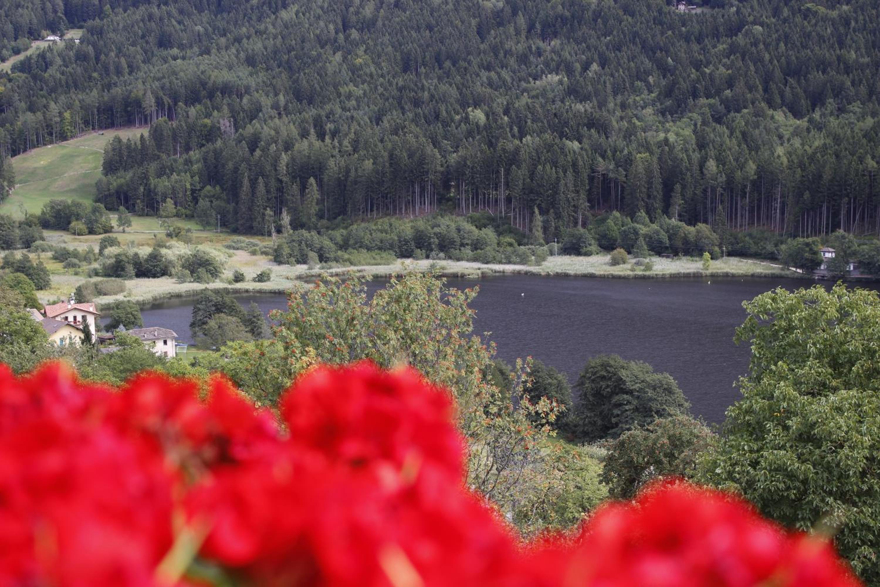 Appartamento Dossalt Vista Lago view 4
