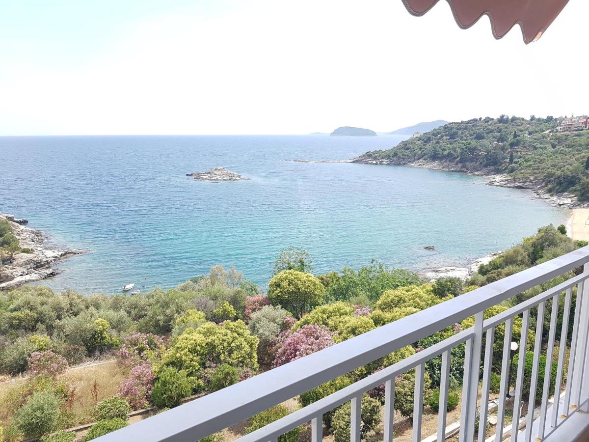 The Best View photo 1