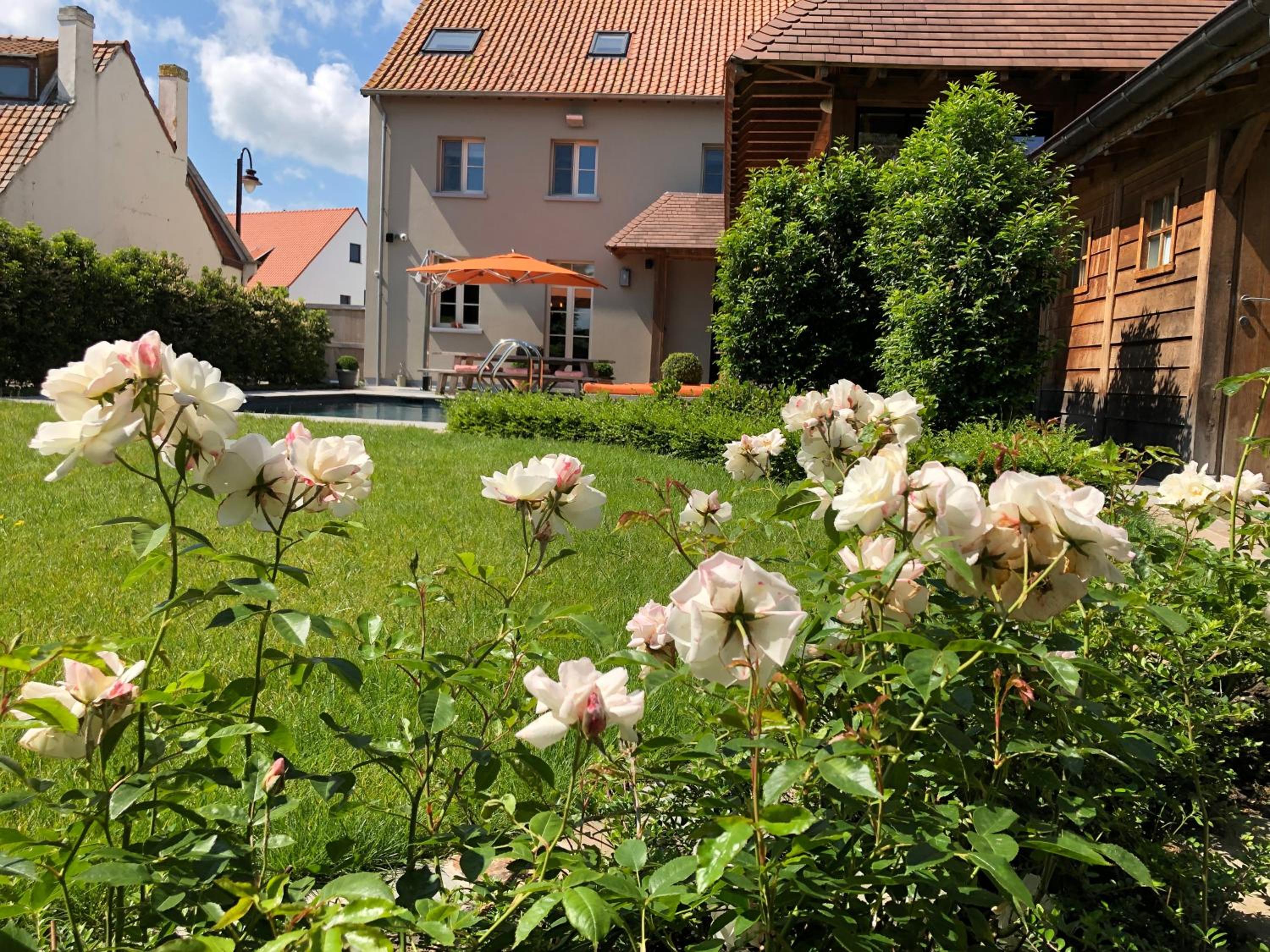 Hotel B&B d'Oude Brouwerij - Image 1