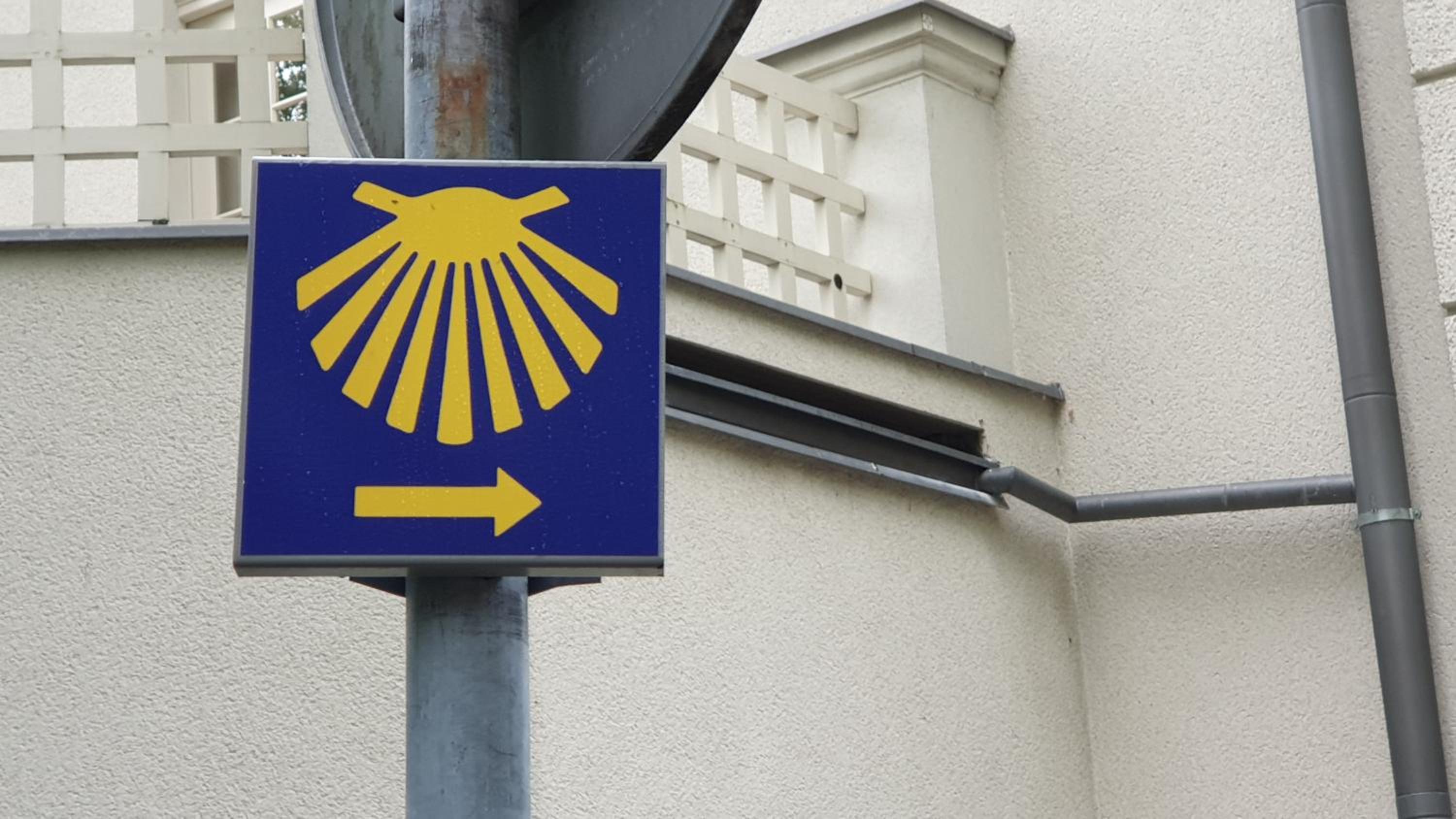 Camino Cesis, photo 13