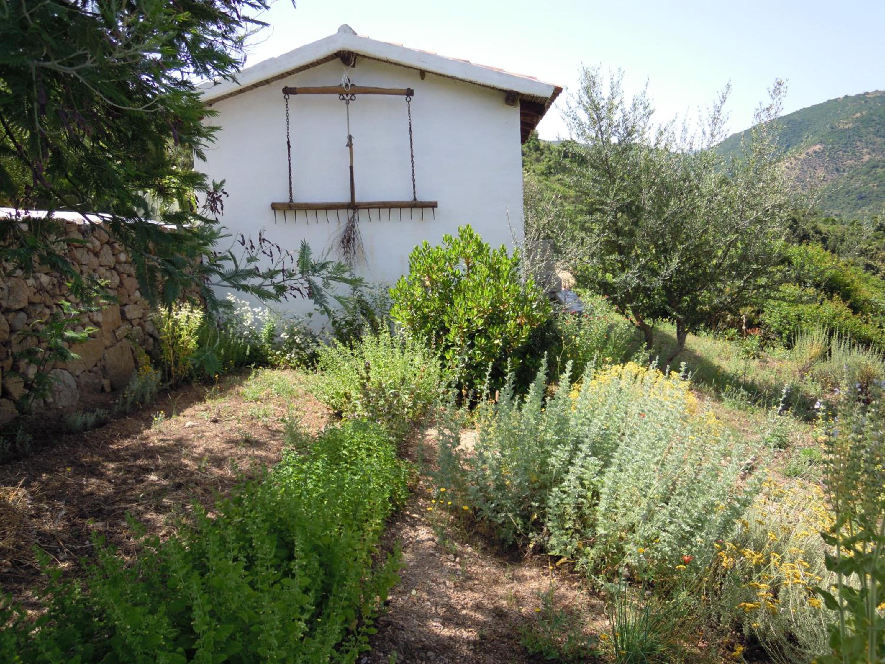 Agriturismo Camisadu, photo 5