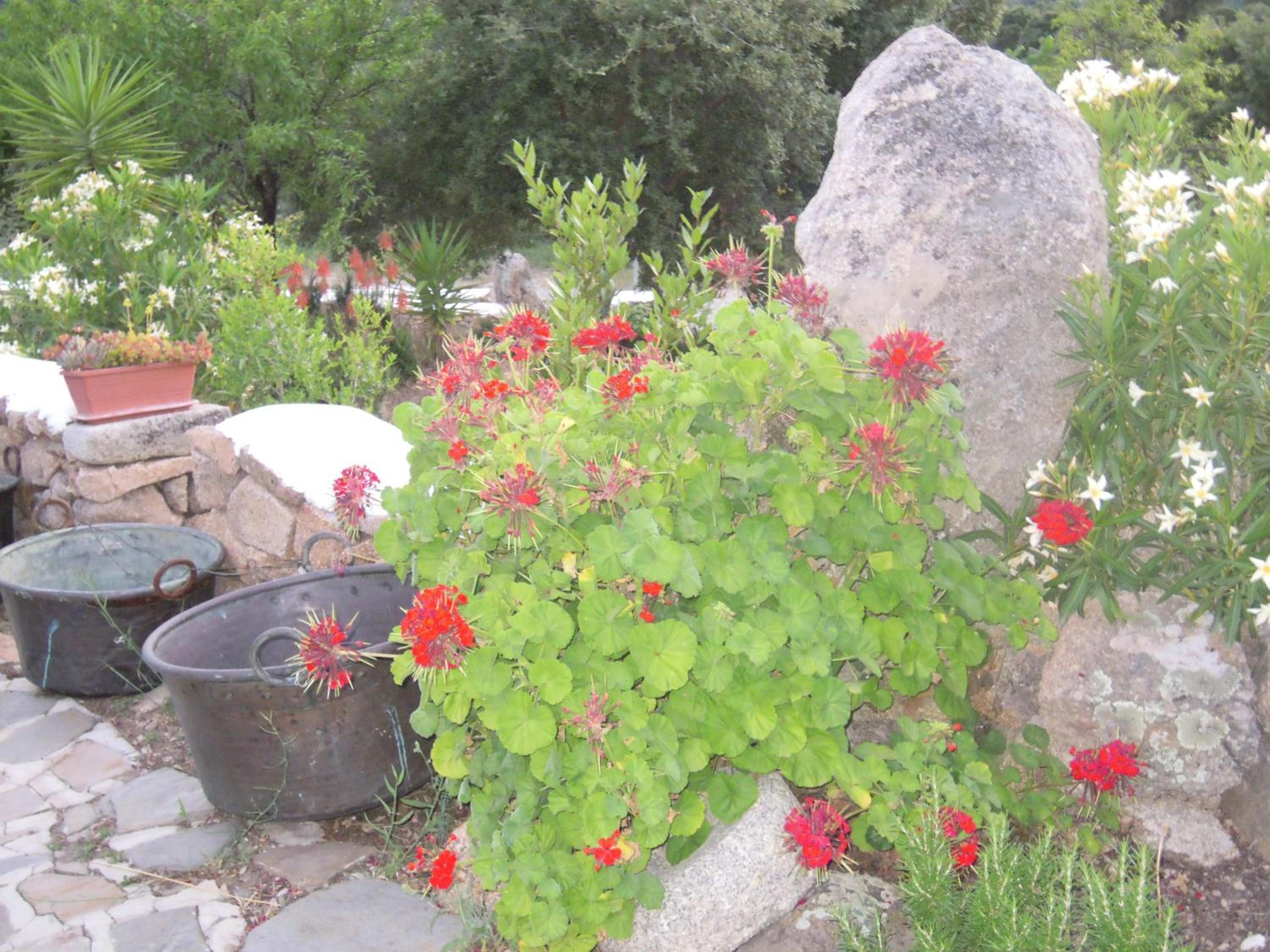 Agriturismo Camisadu, photo 43