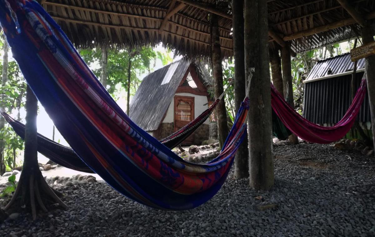 Hotel Jungle Roots - Image 1