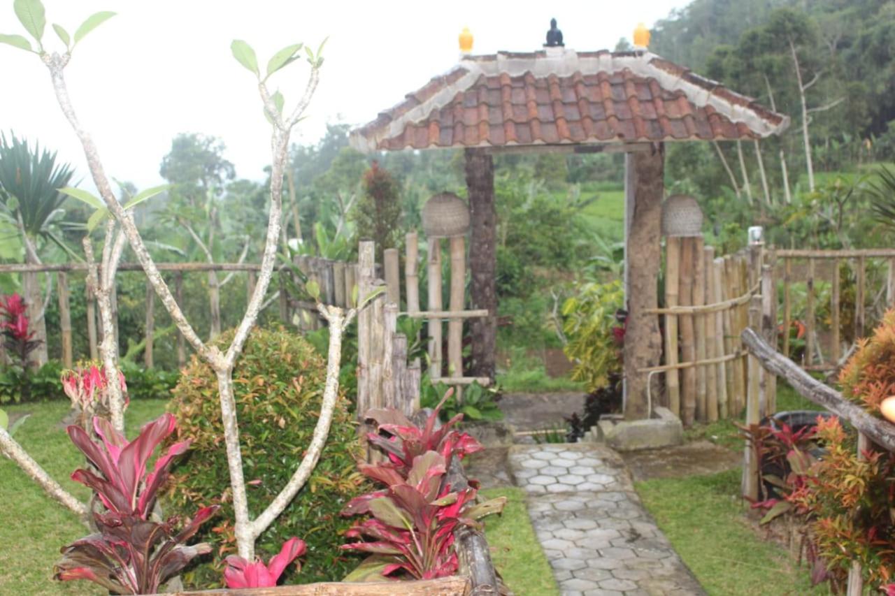 Photo 26