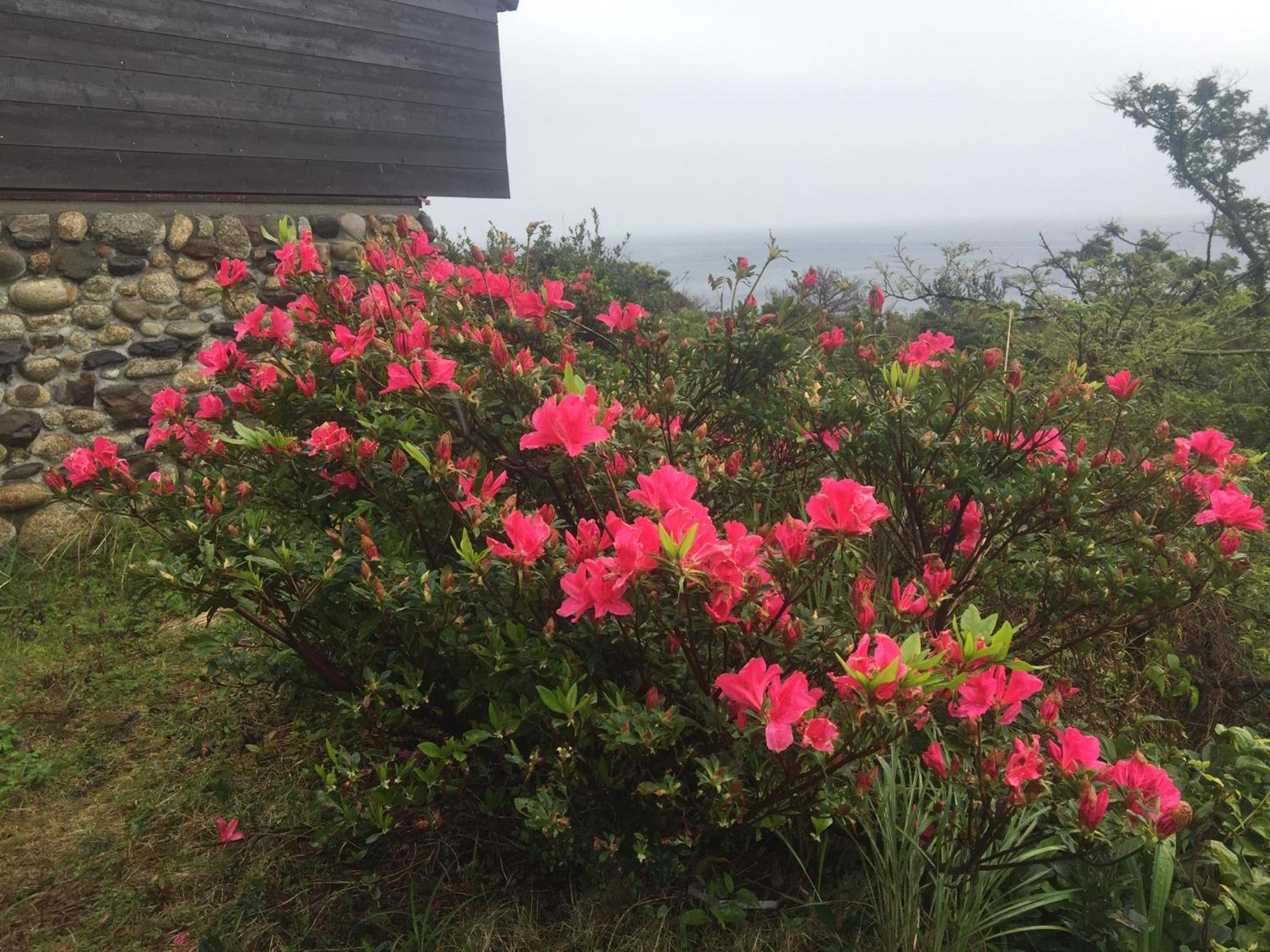 TIDA Resort Yakushima 旧 屋久島海の胡汀路てぃーだ