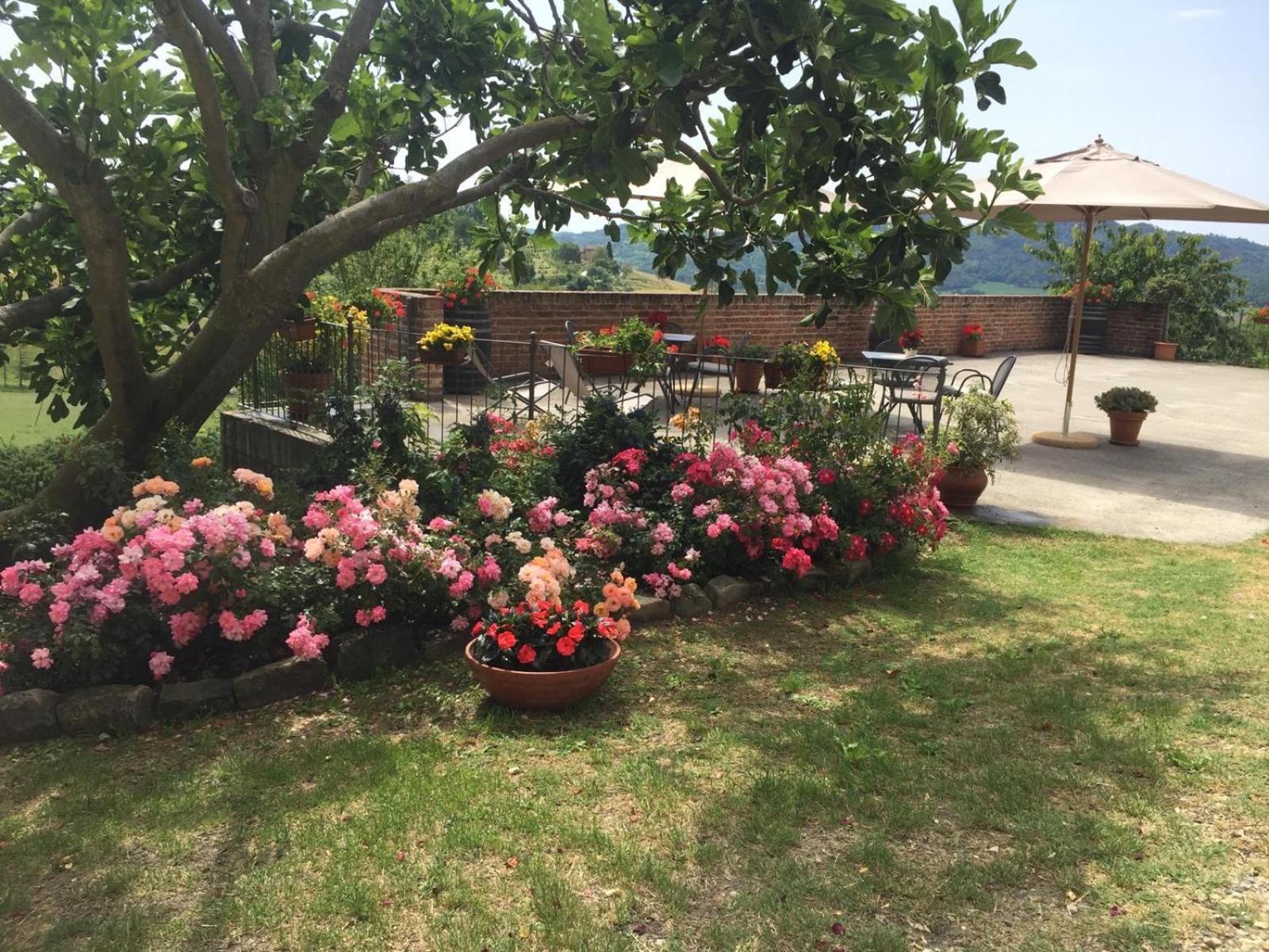 La Cantinetta Resort view 2