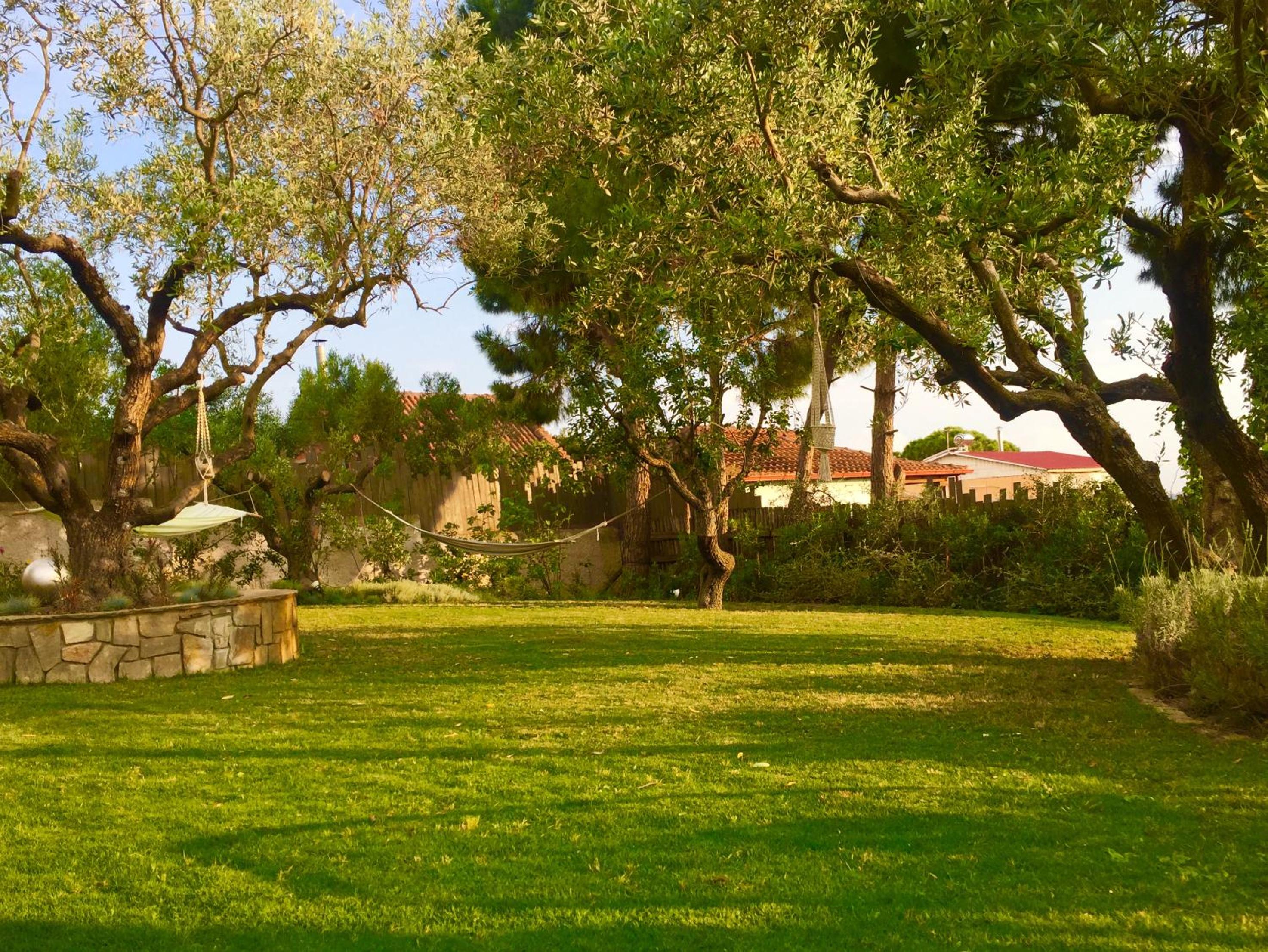 Photo 41