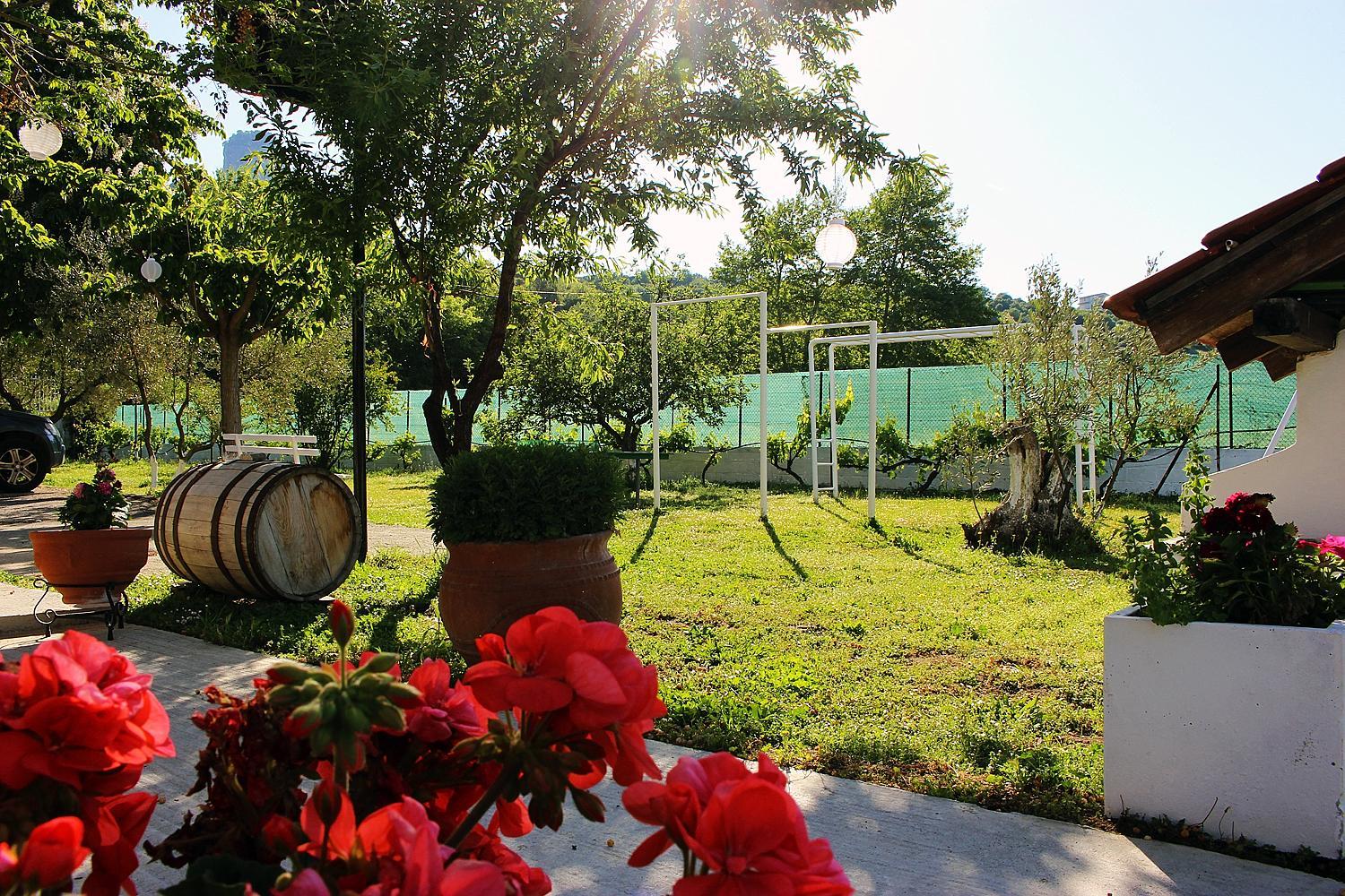 activities & amenities