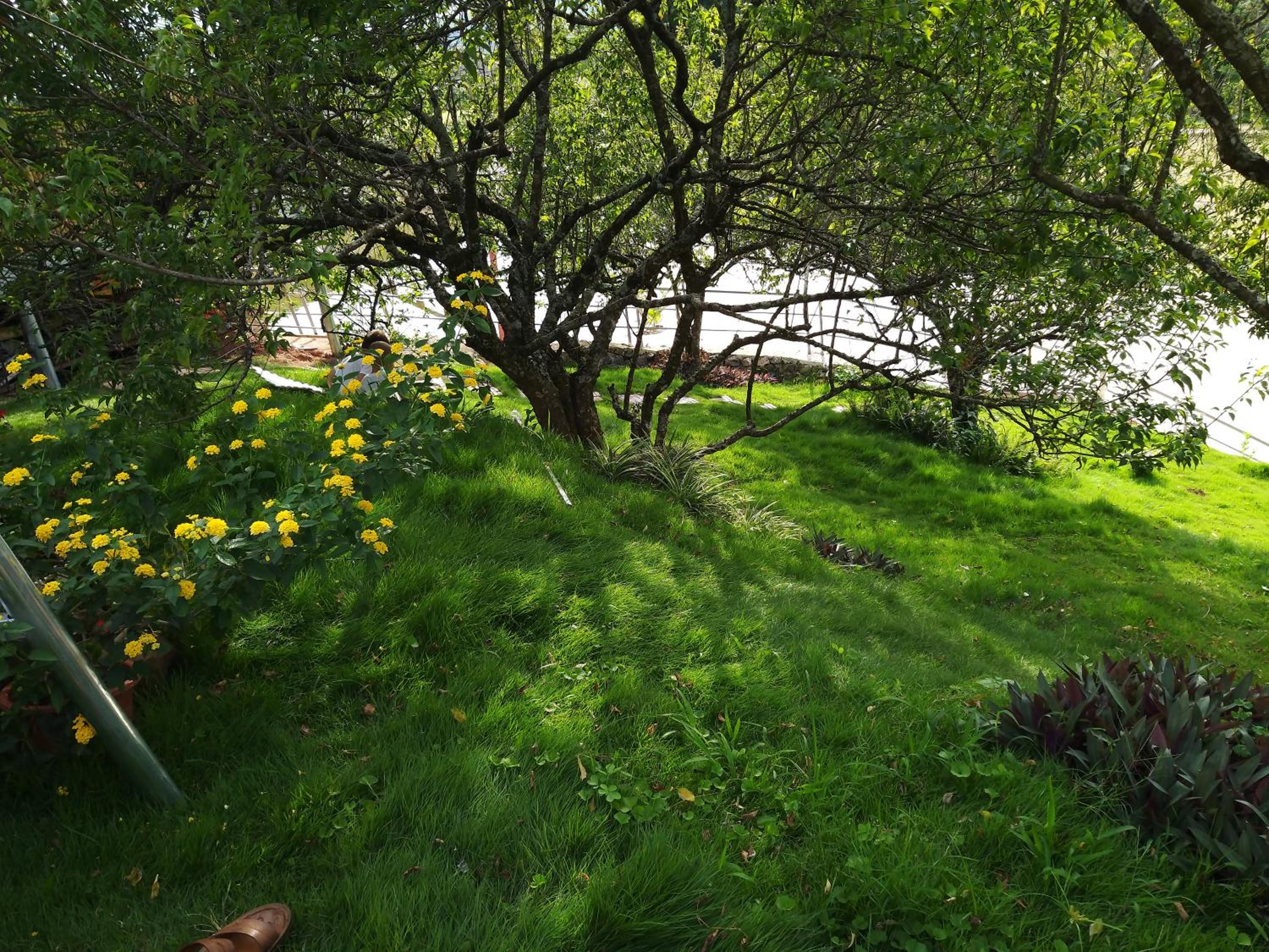 Photo 20