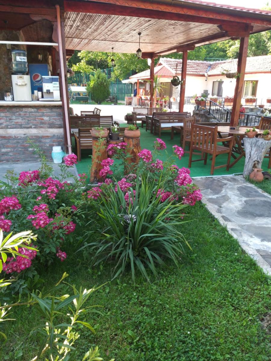Guest House 