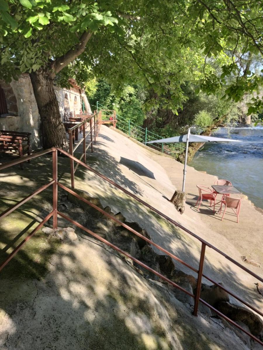 Guest House 