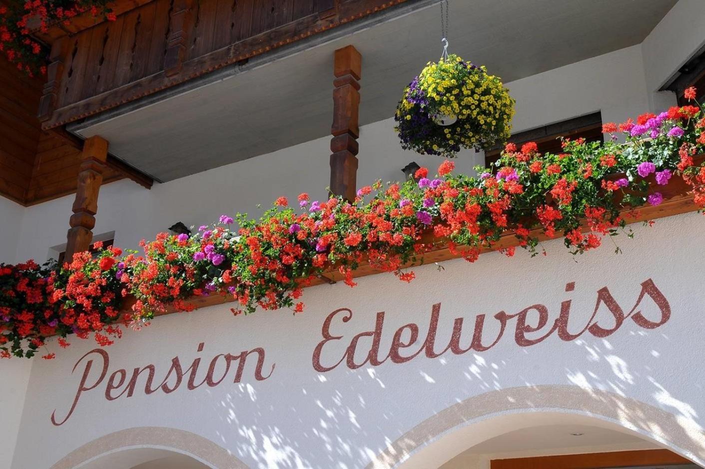 Pensione Edelweiss view 4